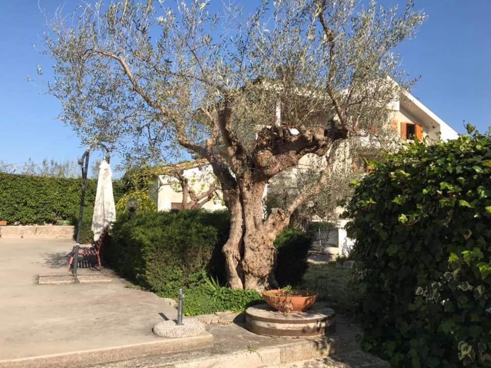 Le sorelle gemelle B&B