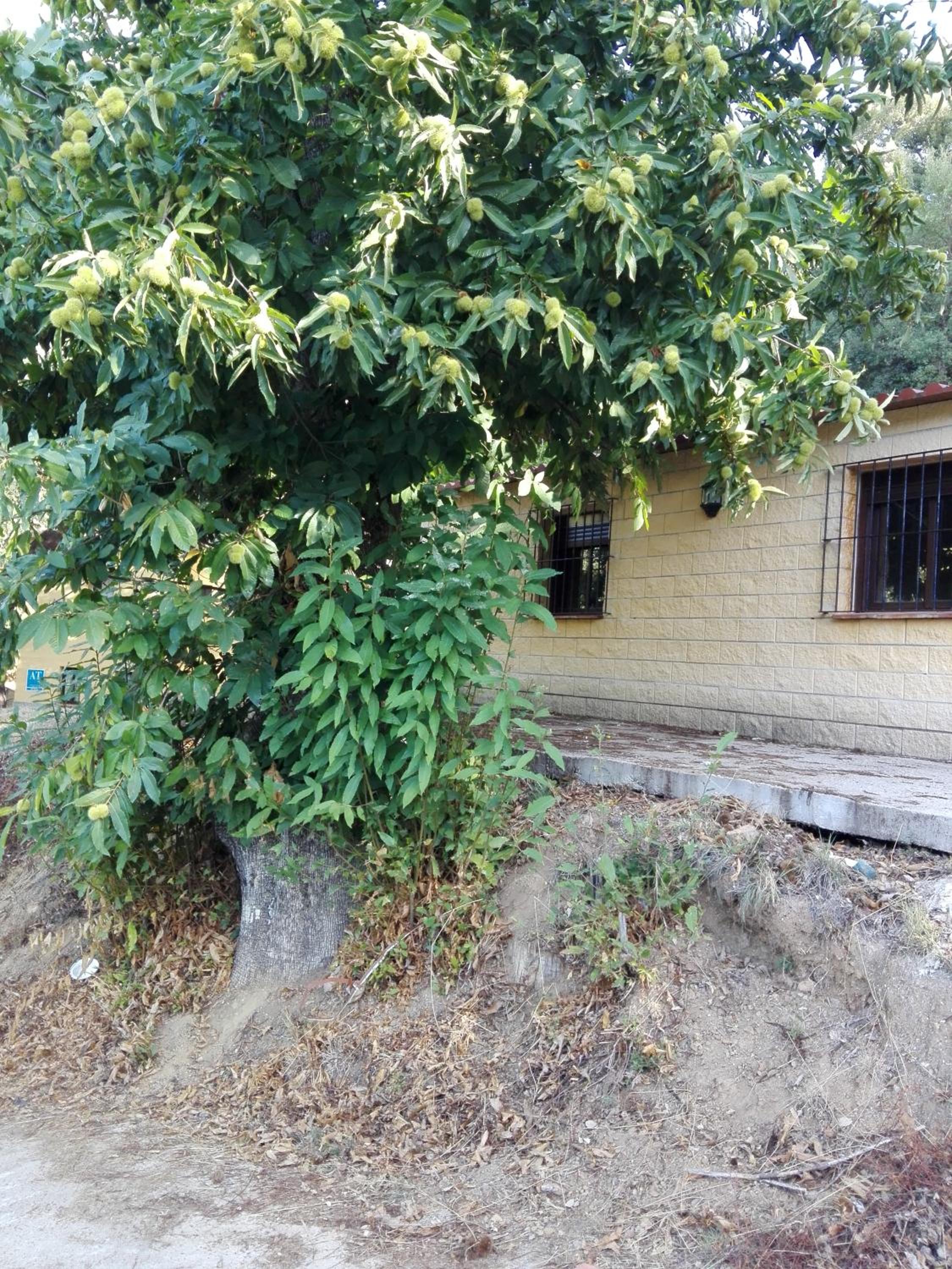 Photo 26