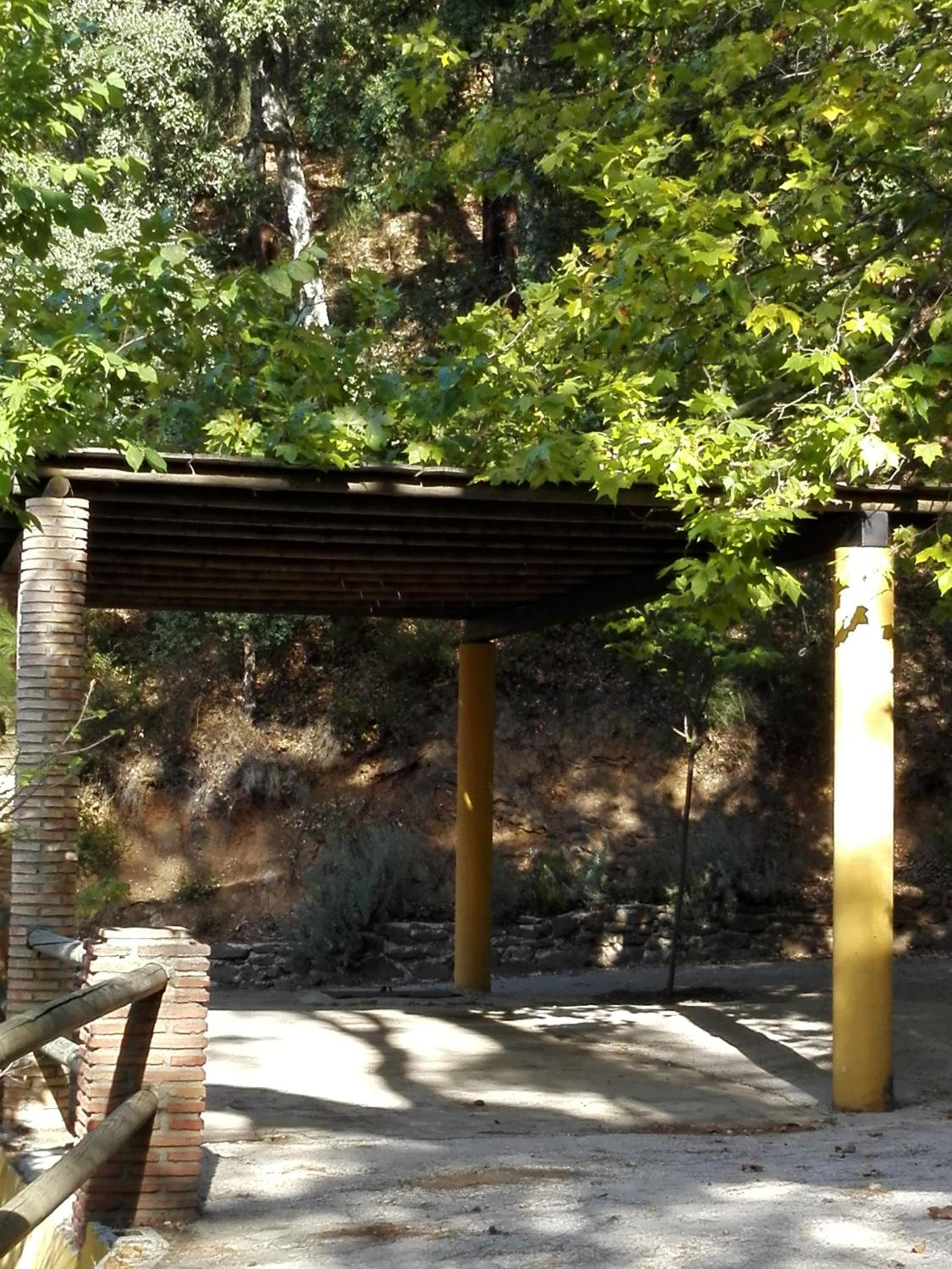 Photo 15