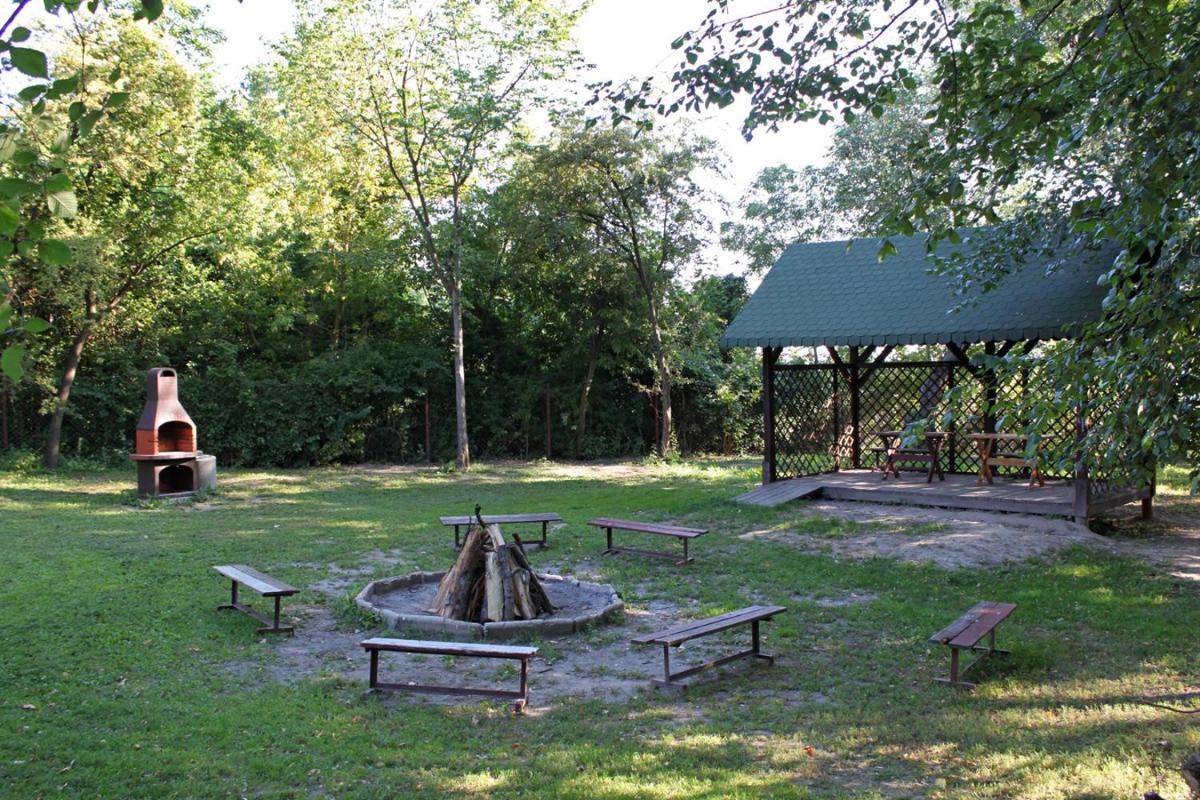 Photo 11