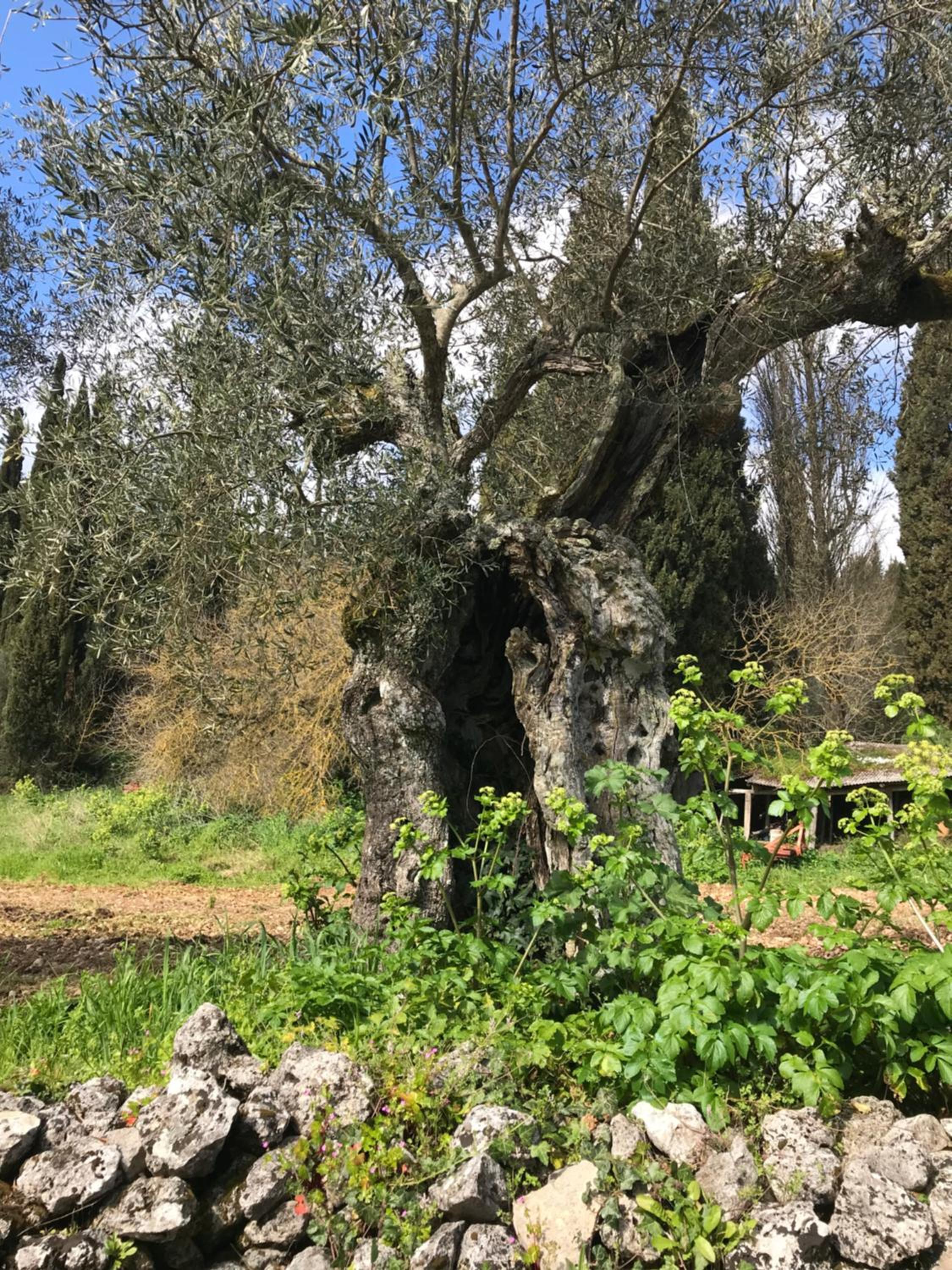Photo 18