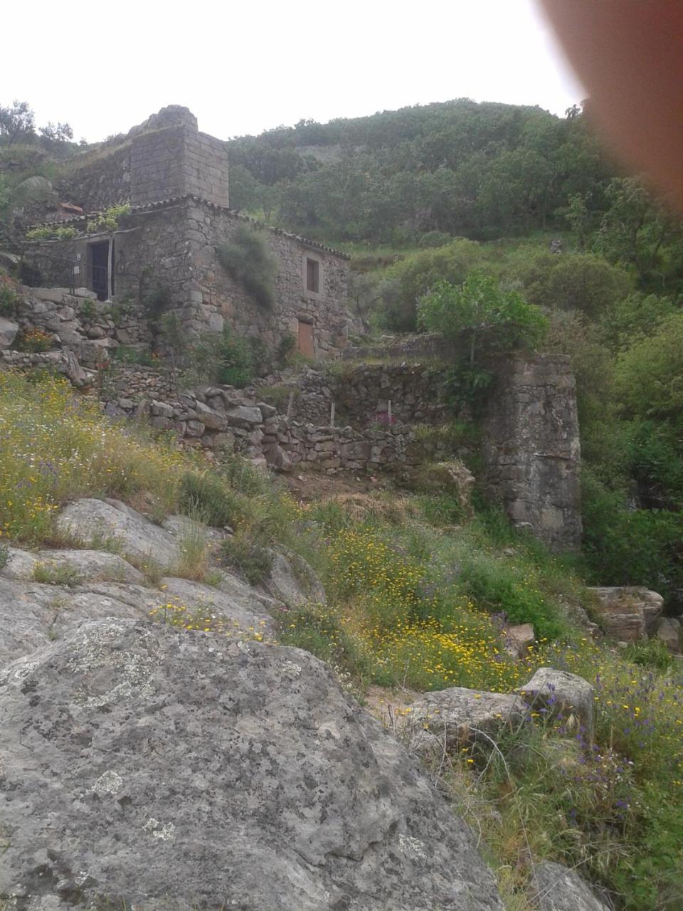 Photo 40