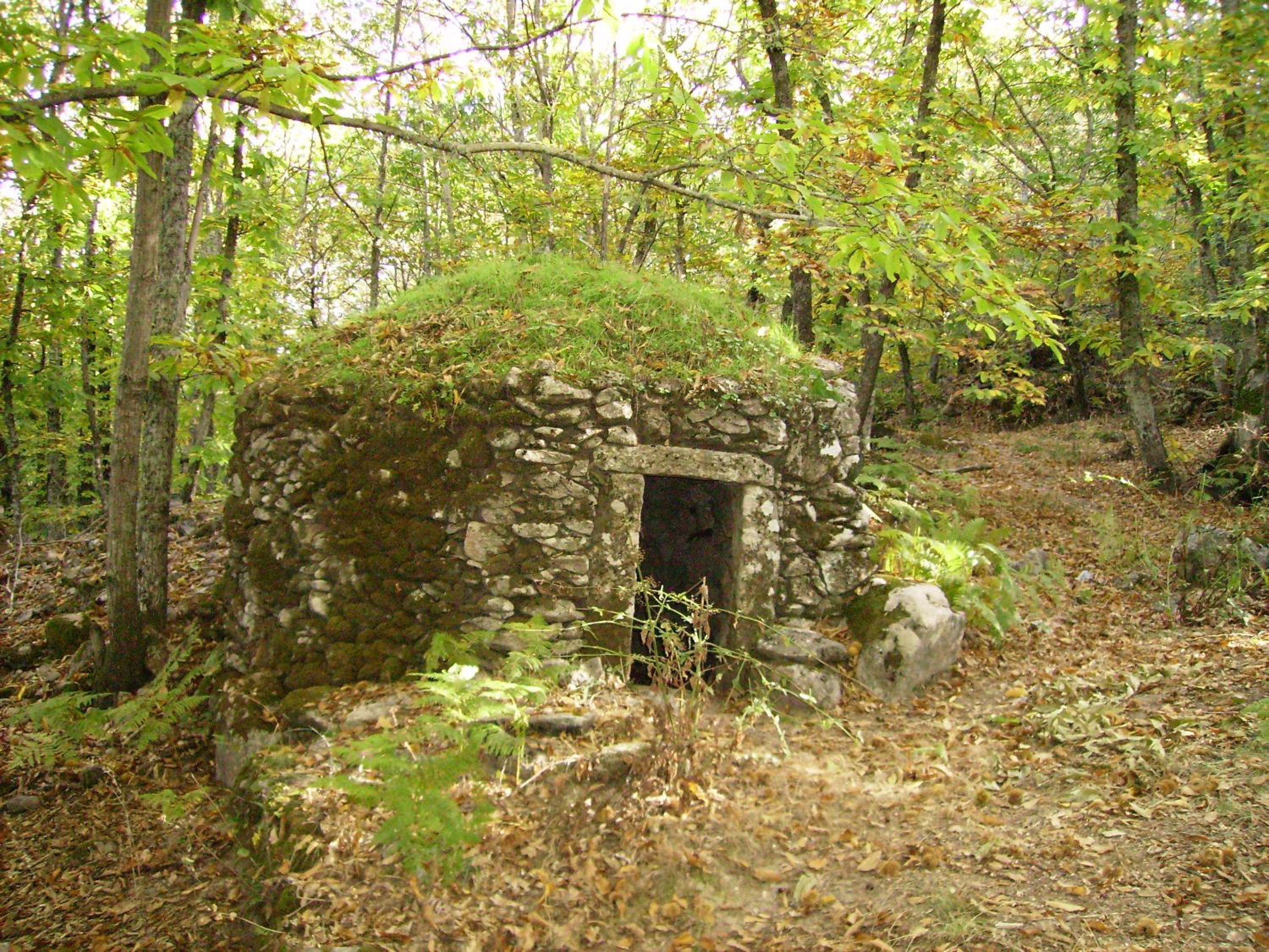 Photo 45