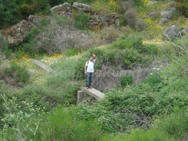 Photo 44