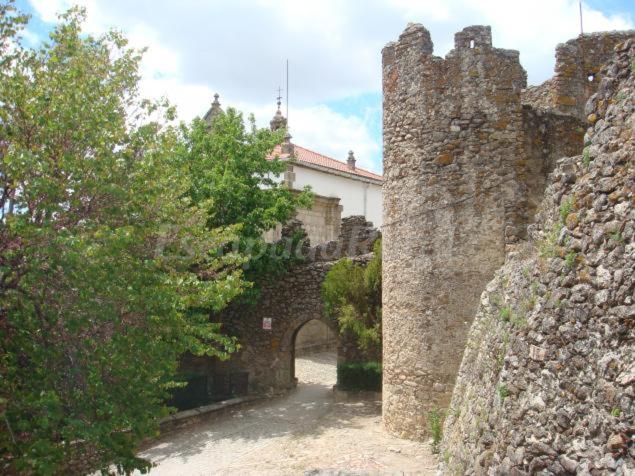 Photo 47