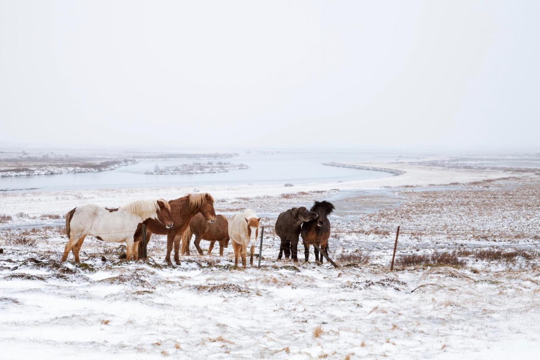 Experience Beautiful Iceland