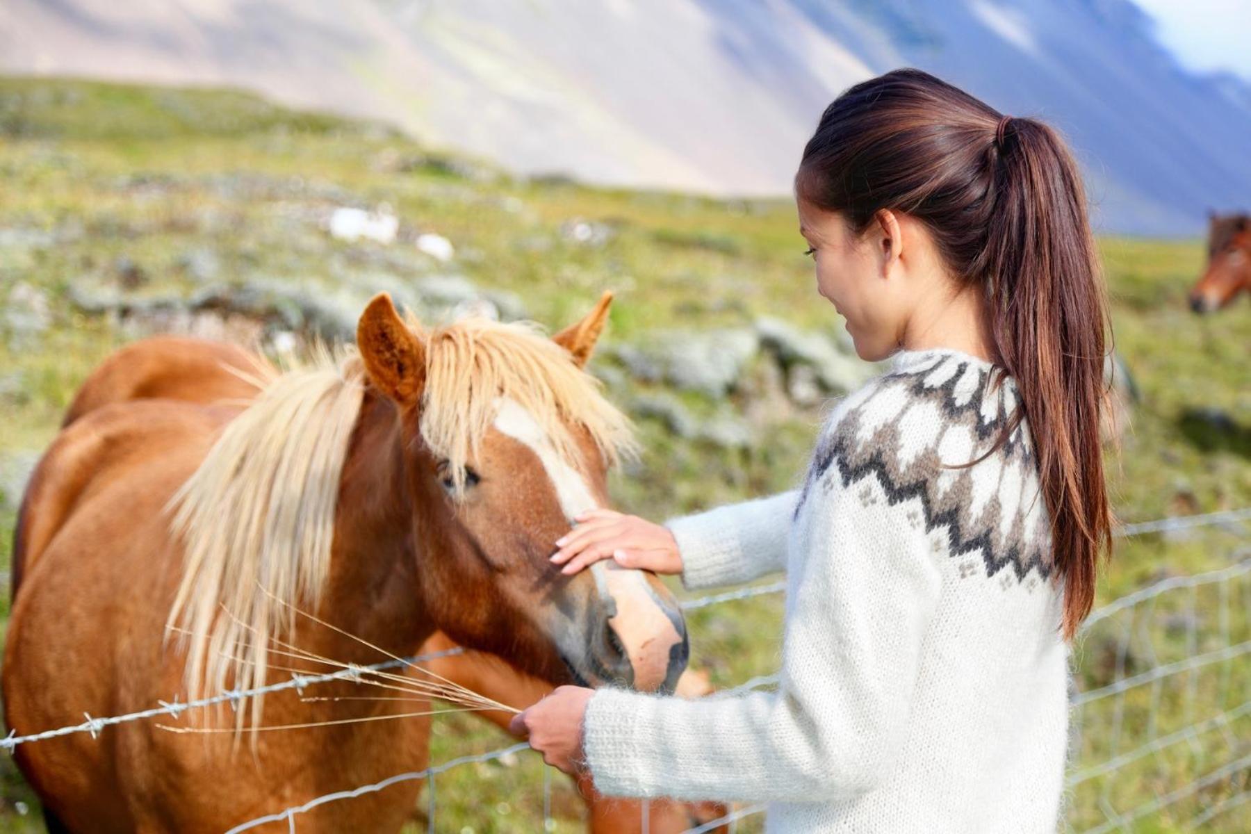 Experience Beautiful Iceland