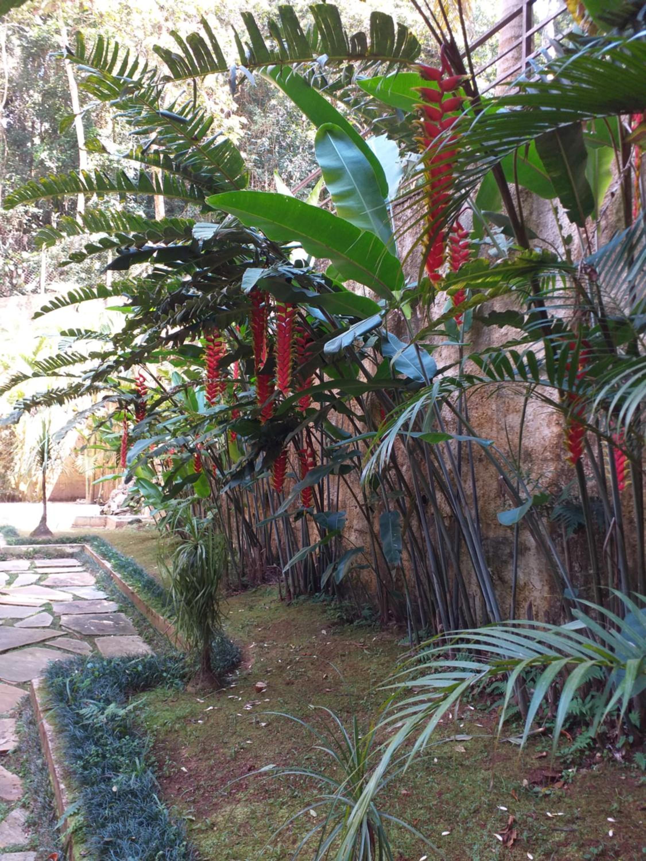 Linda casa na Serra da Cantareira