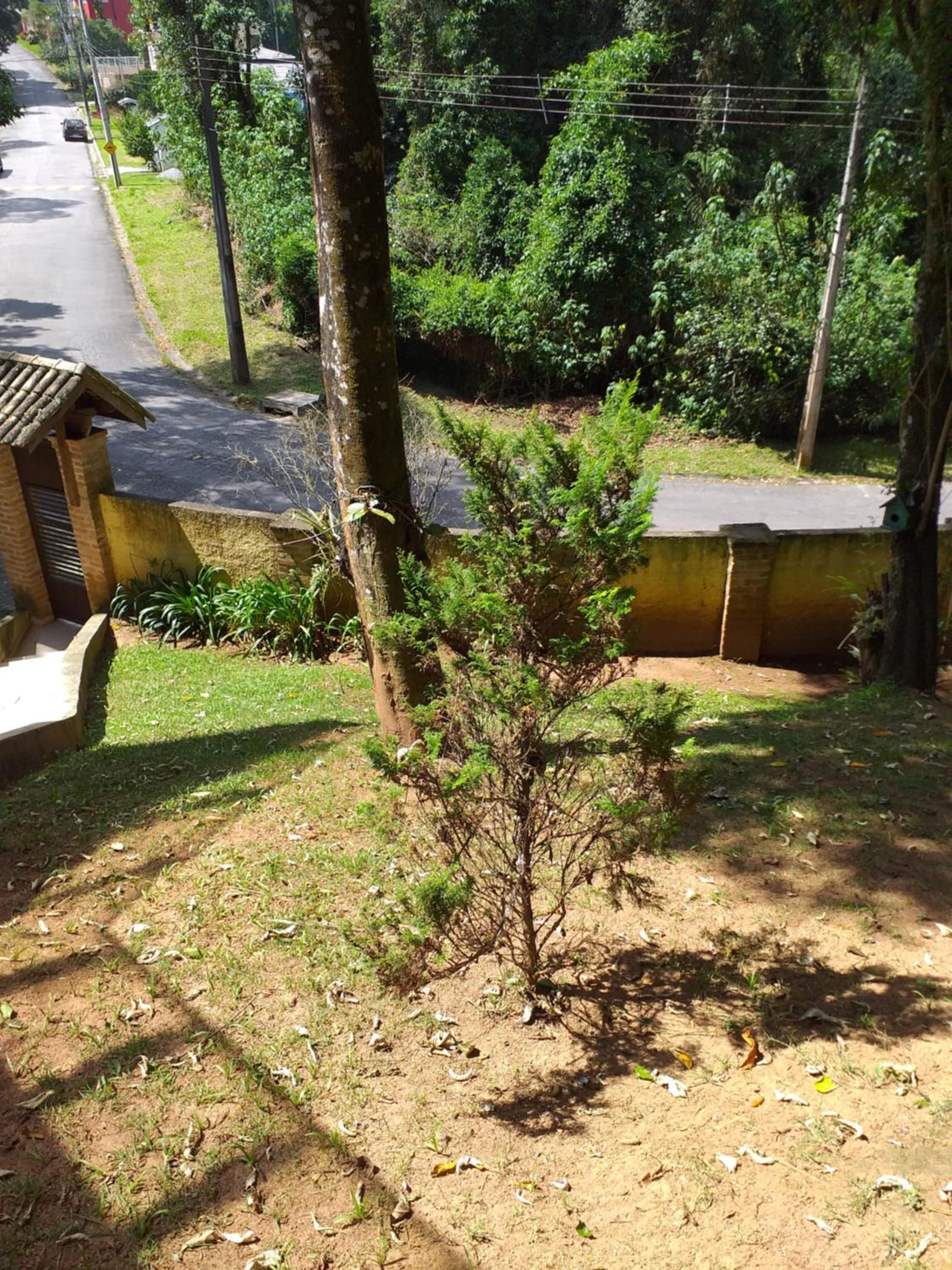 Linda casa na Serra da Cantareira