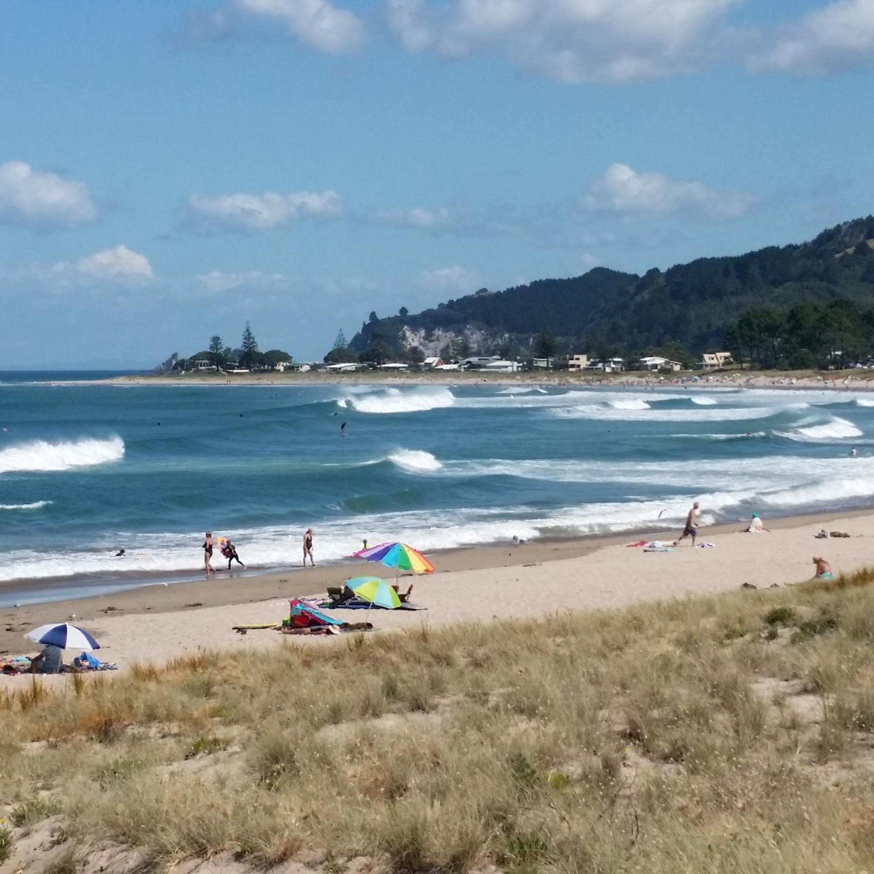Amazing Kiwi Lodge view 4