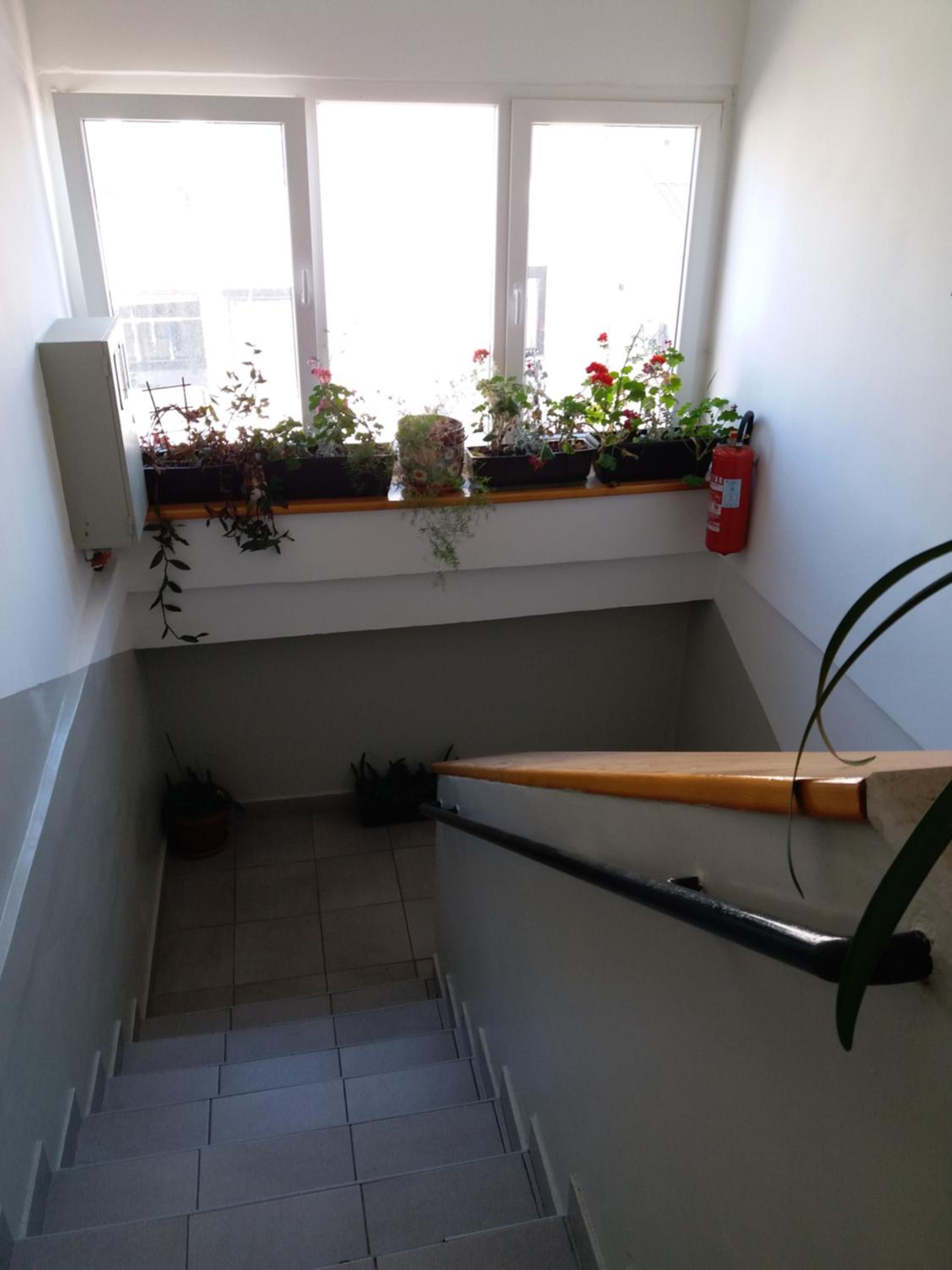Cozy apartment Aya in Old town Sarajevo