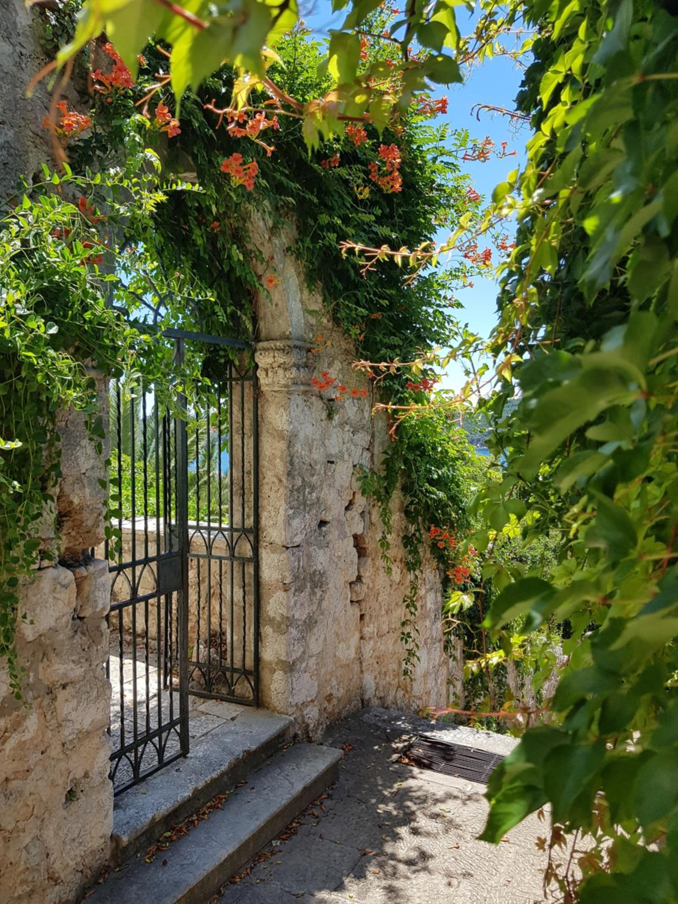 Villa Palmera