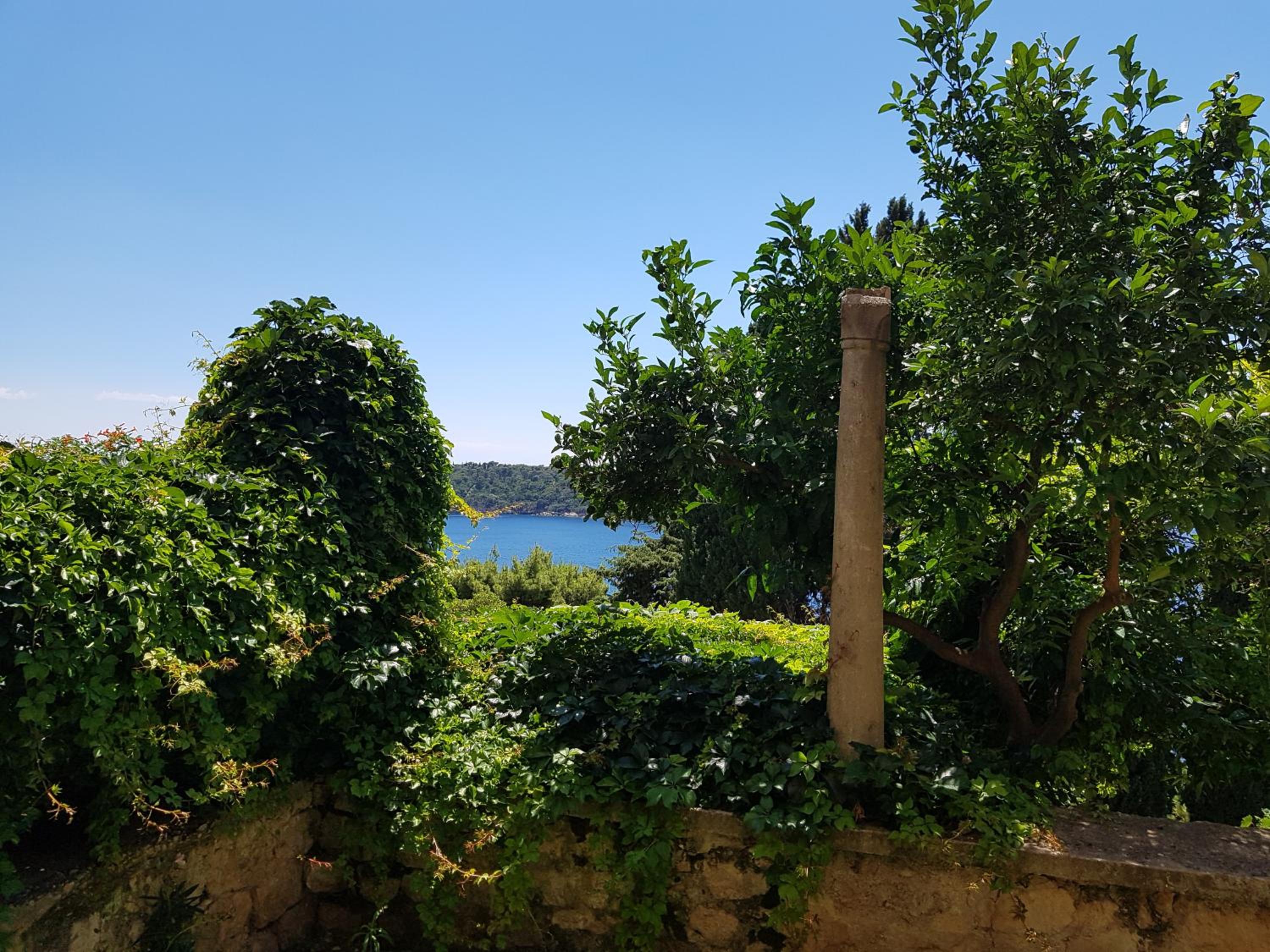 Villa Palmera