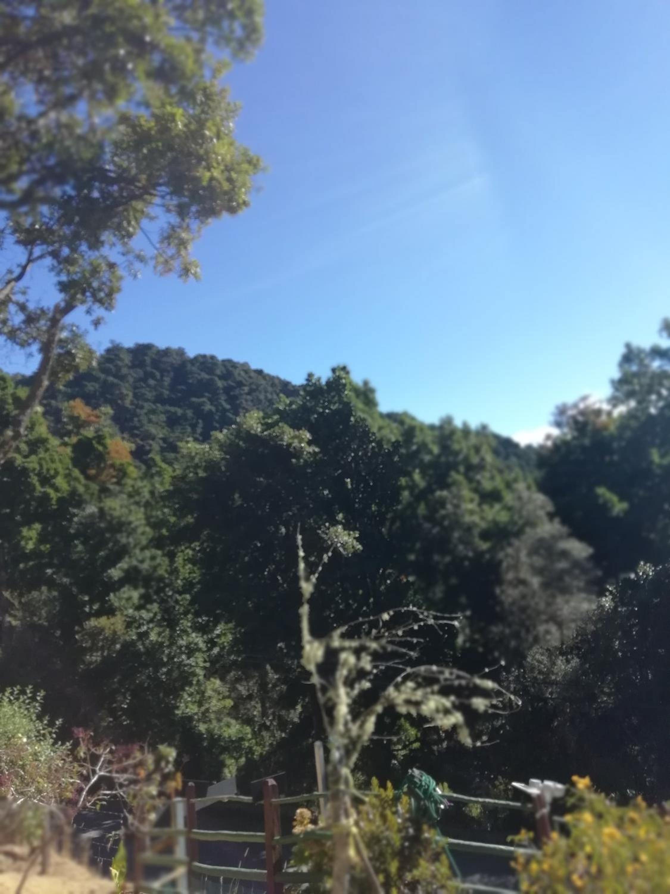 Miriam'S Quetzals lodge
