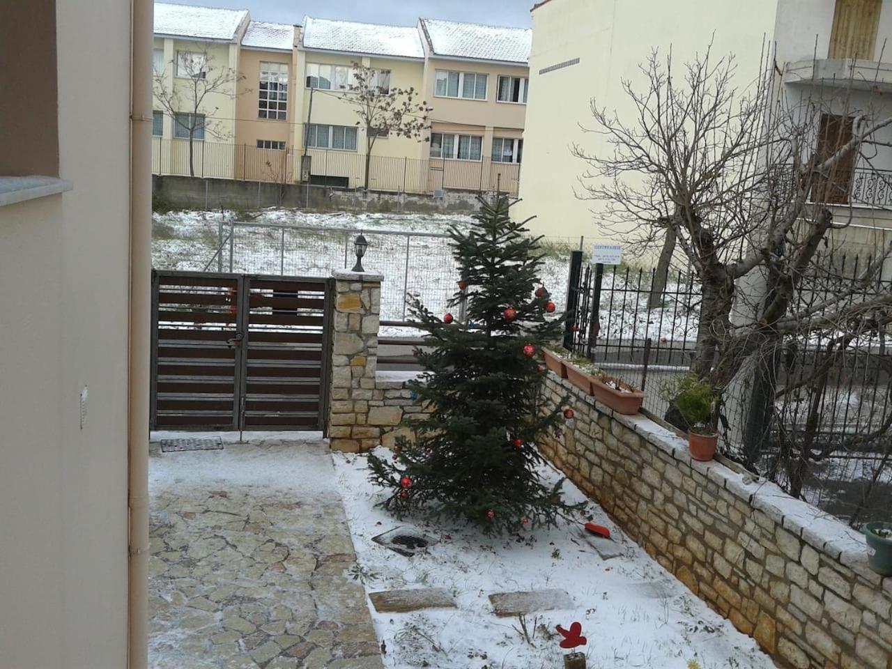 Photo 11
