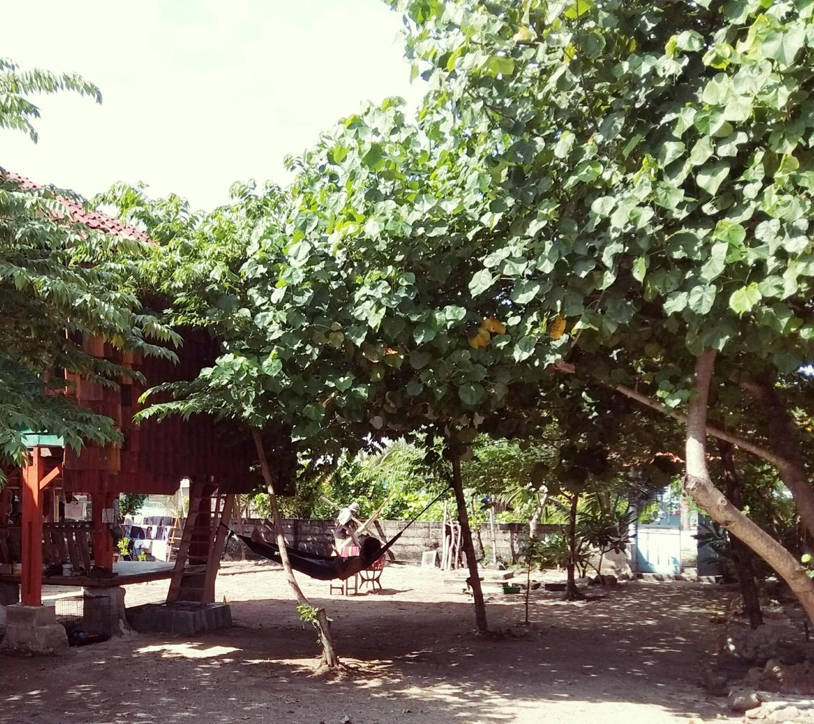 Photo 40
