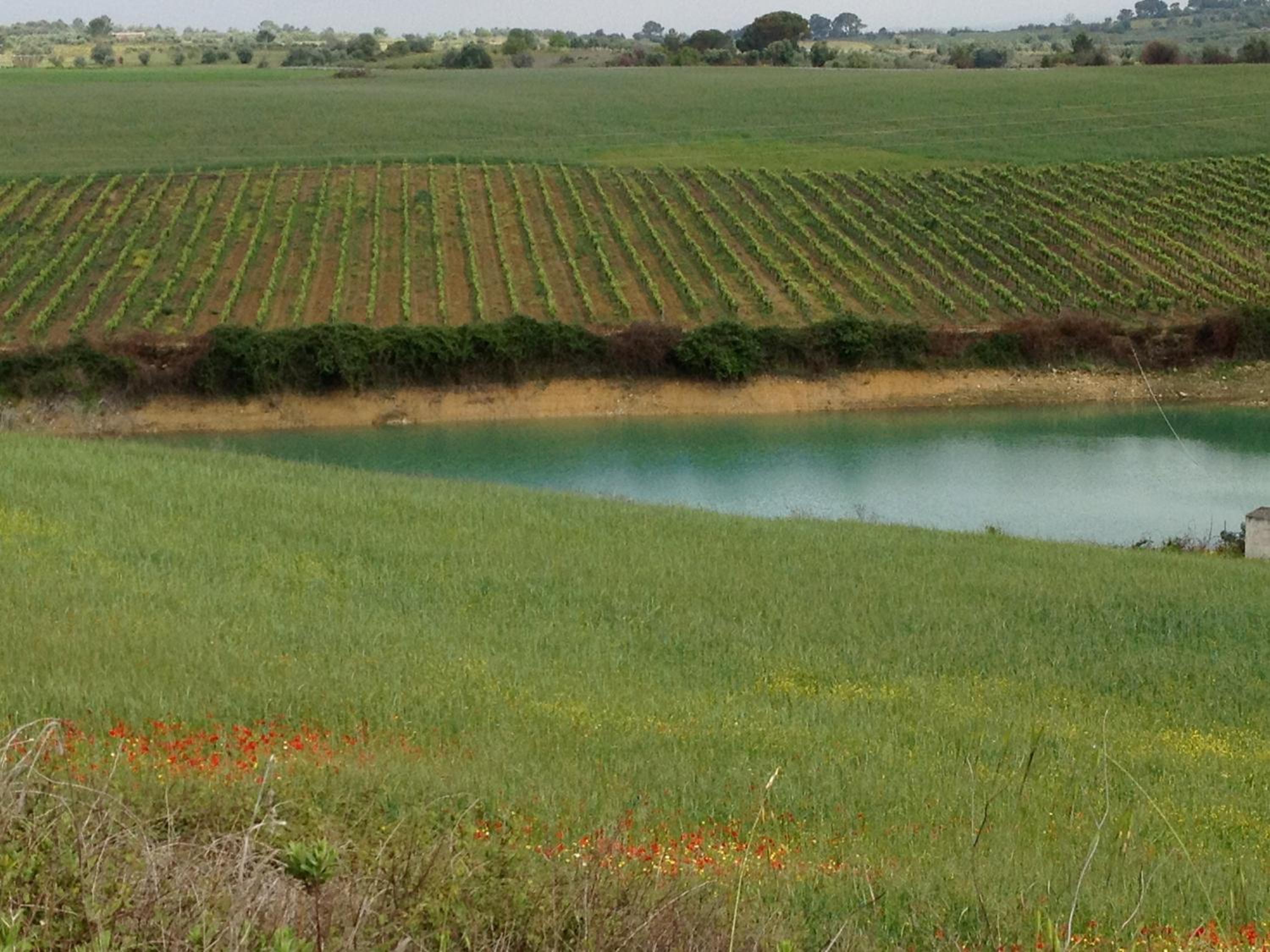 Quinta da Lapa view 2