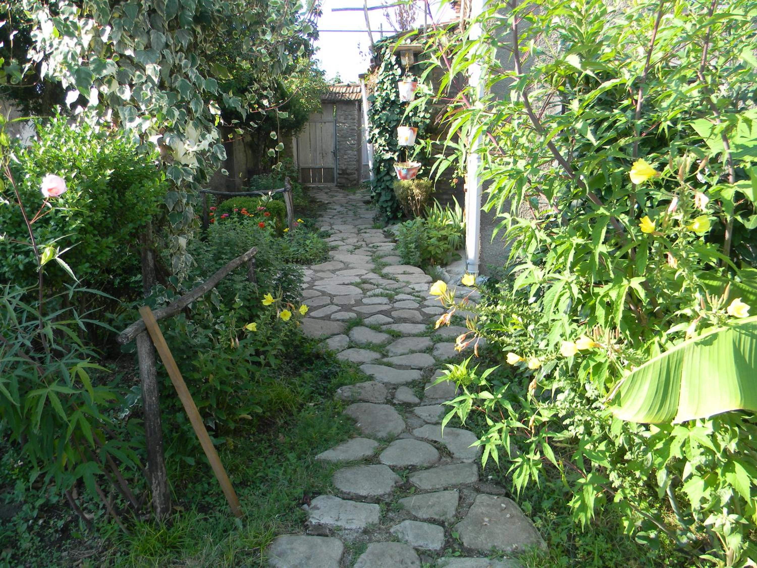 Photo 18