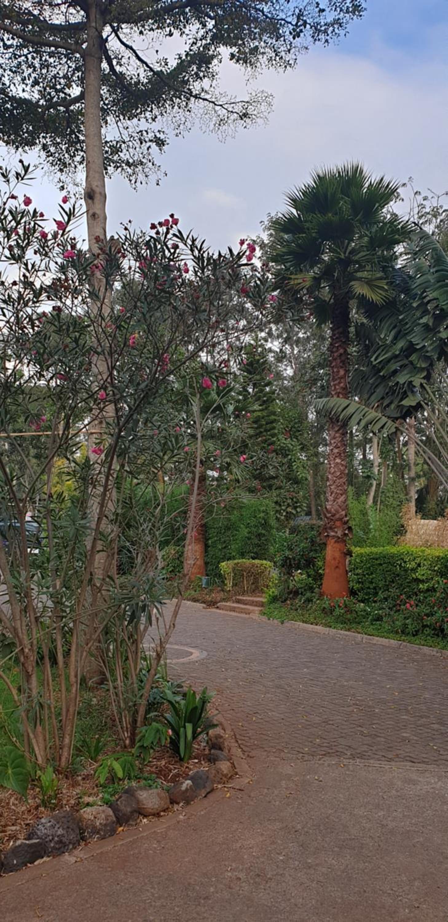 Spurwing Guest House