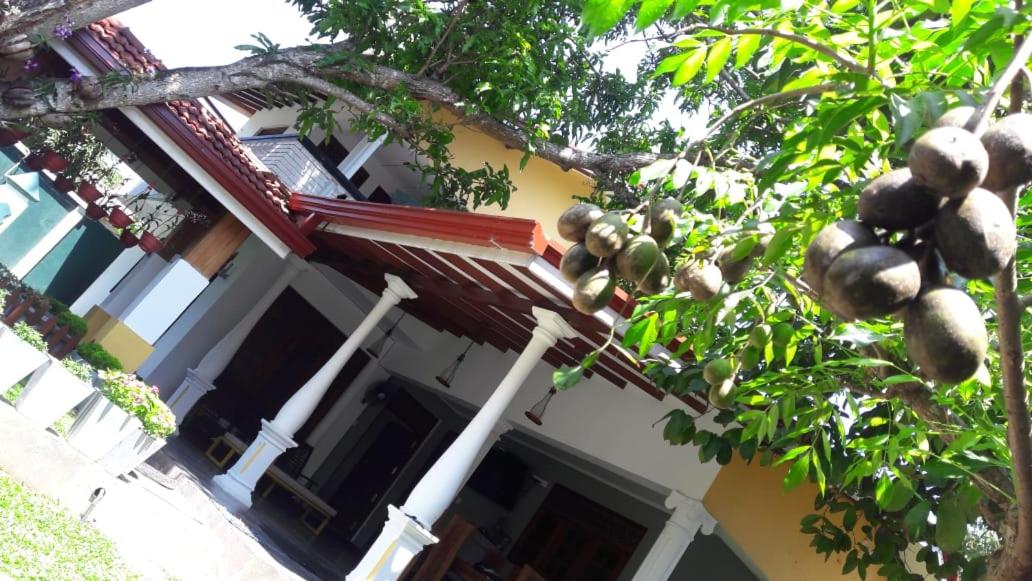 Photo 41