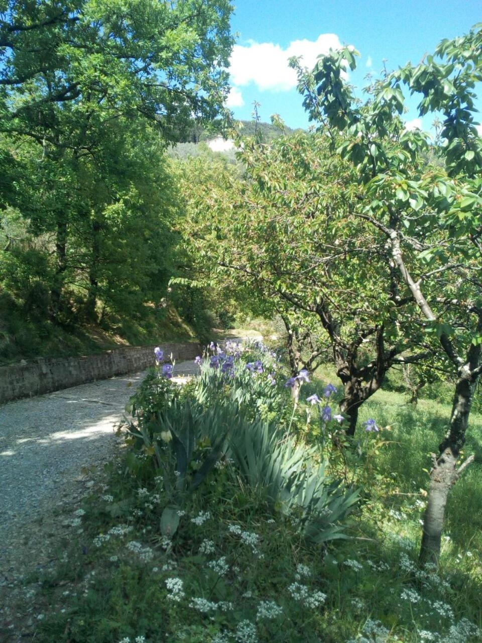 Photo 31