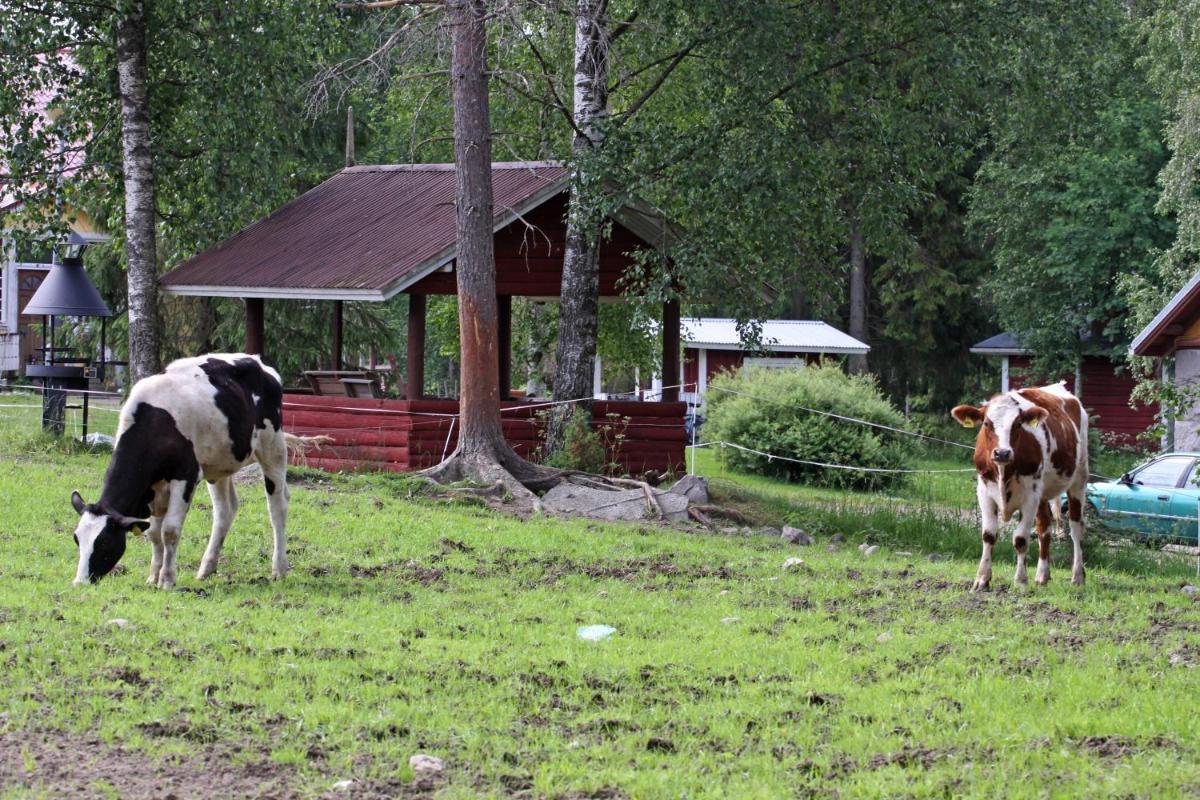 Mäkelän Lomatuvat Bed and Breakfast view 5