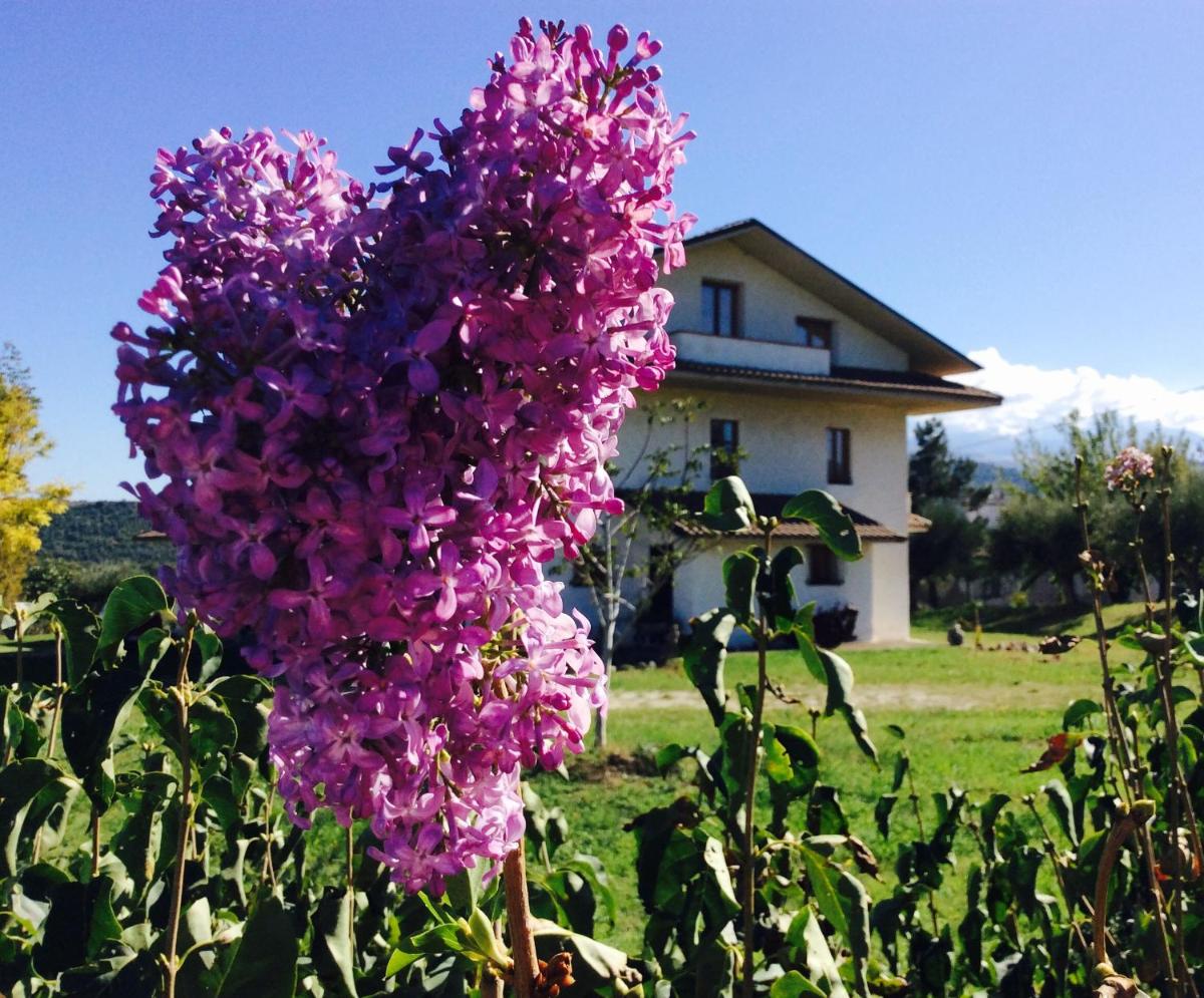 Agriturismo Le Terre d'Abruzzo Country House
