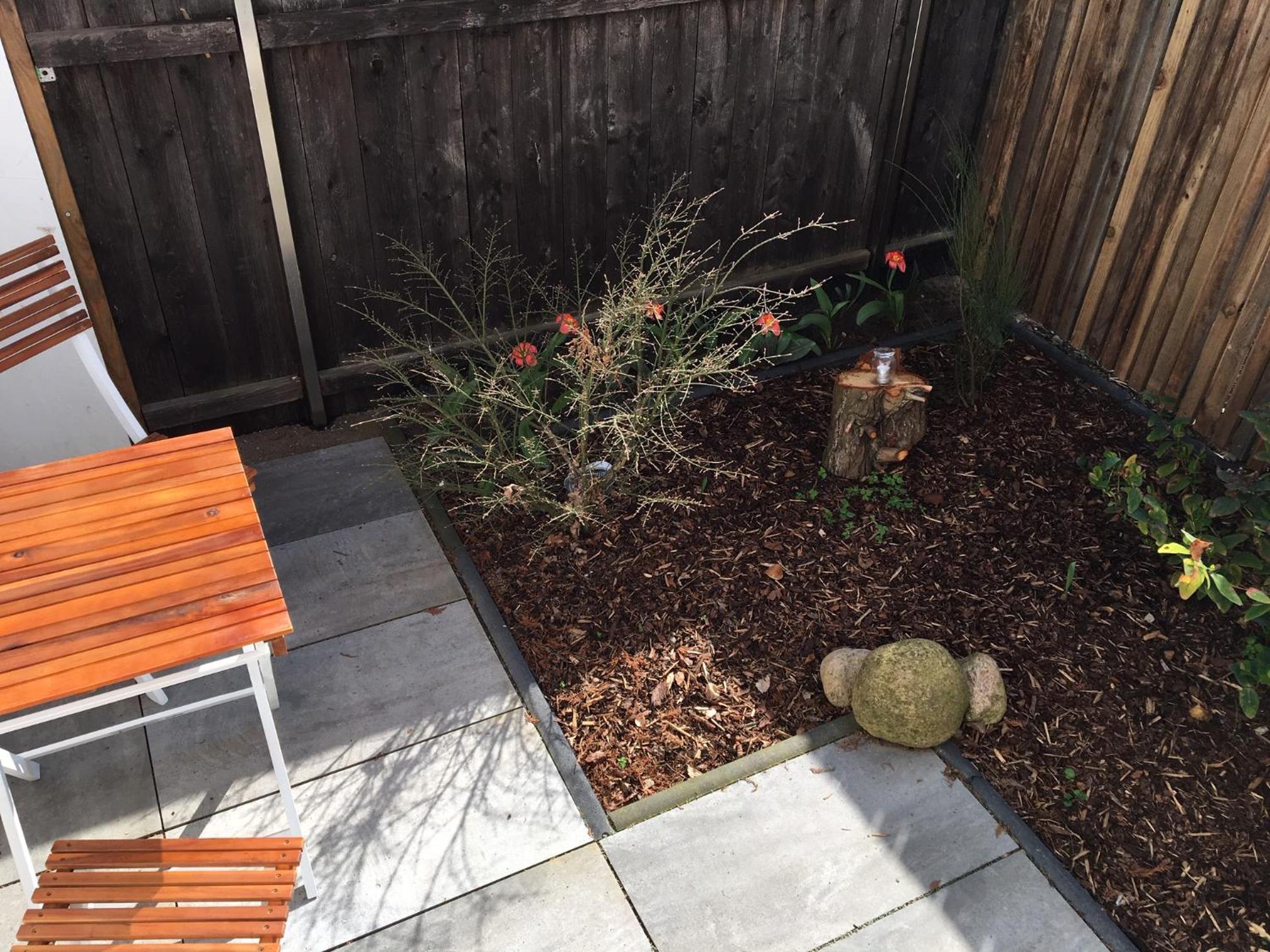 Photo 36