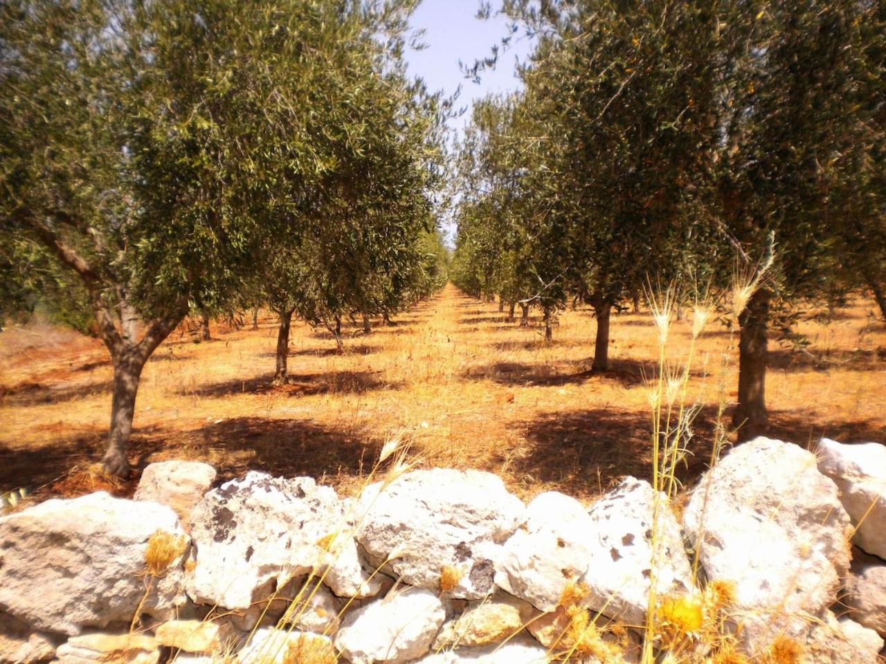 Photo 24