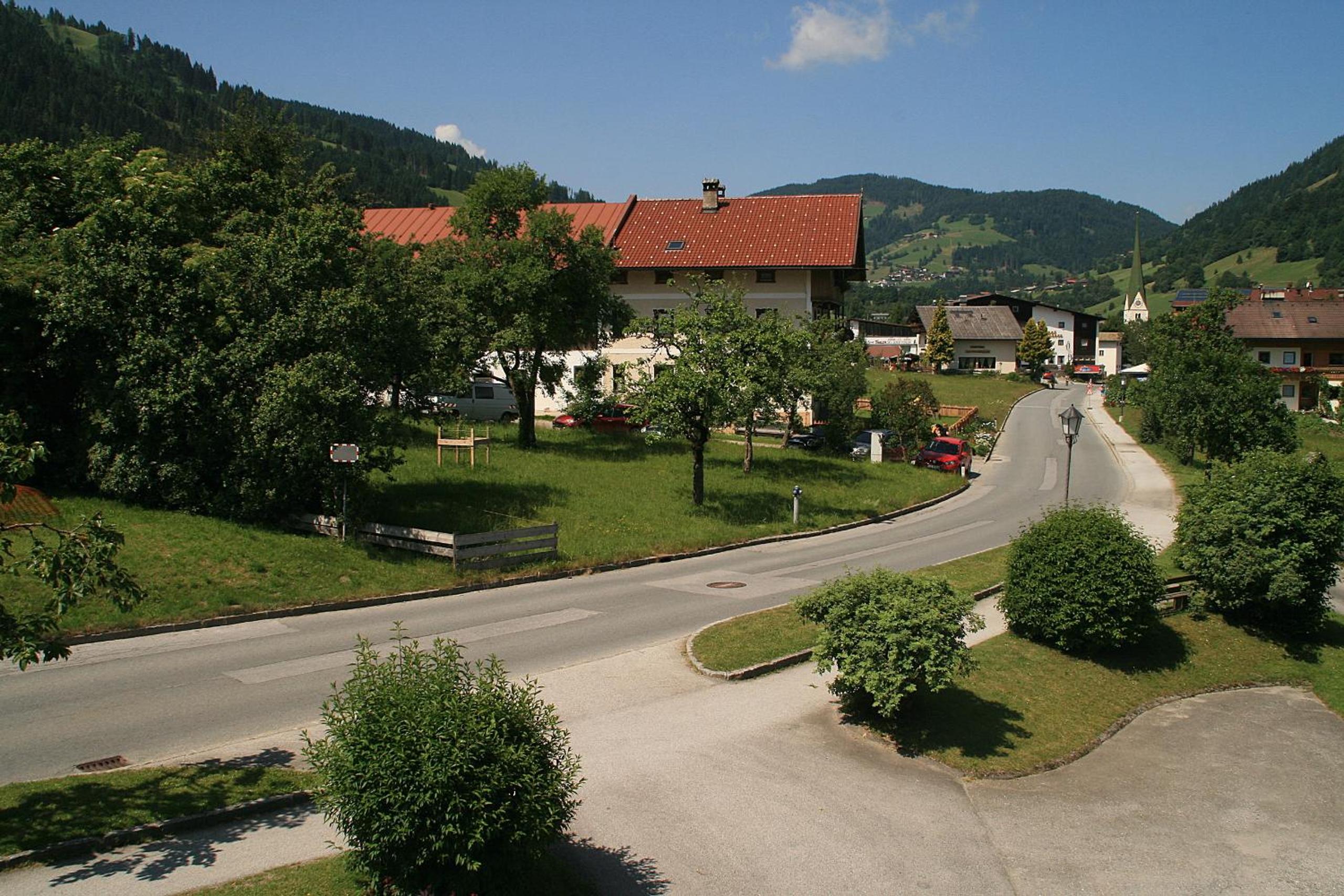 Photo 41