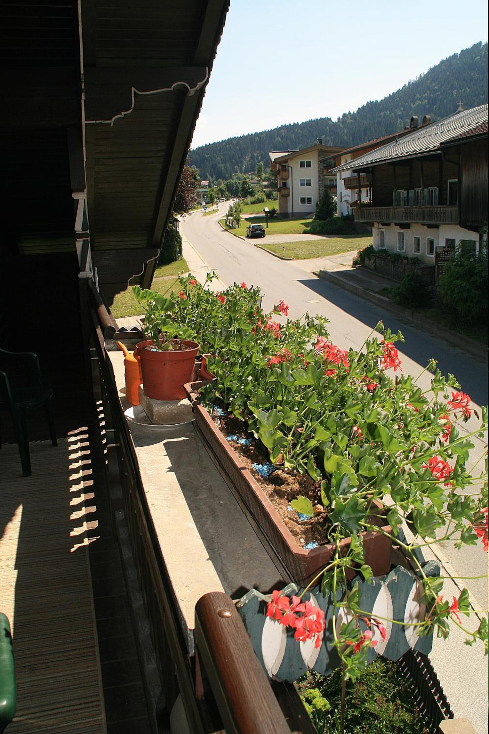Photo 47