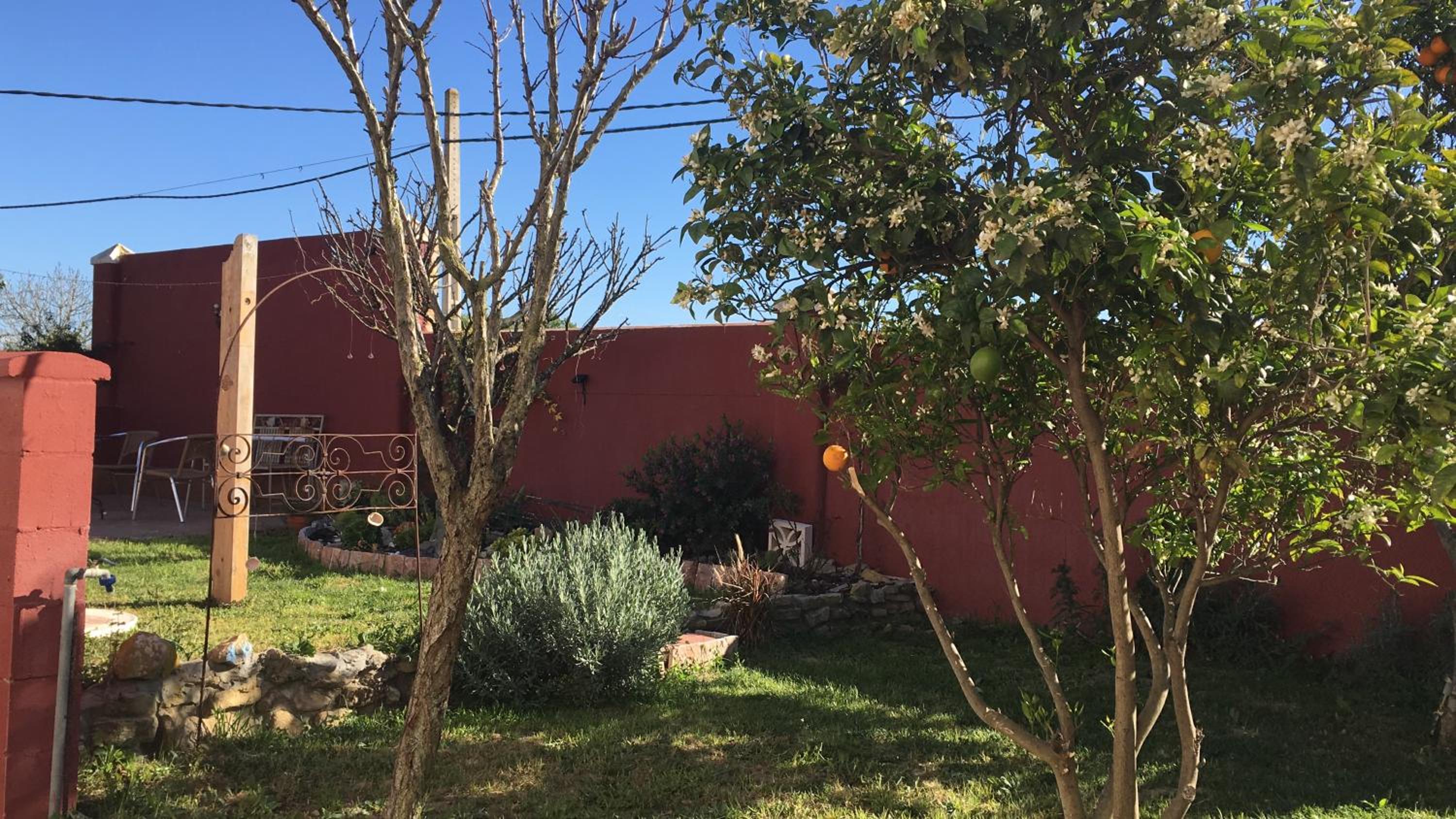 HIGOS CHUMBOS, CASA RURAL COMPARTIDO