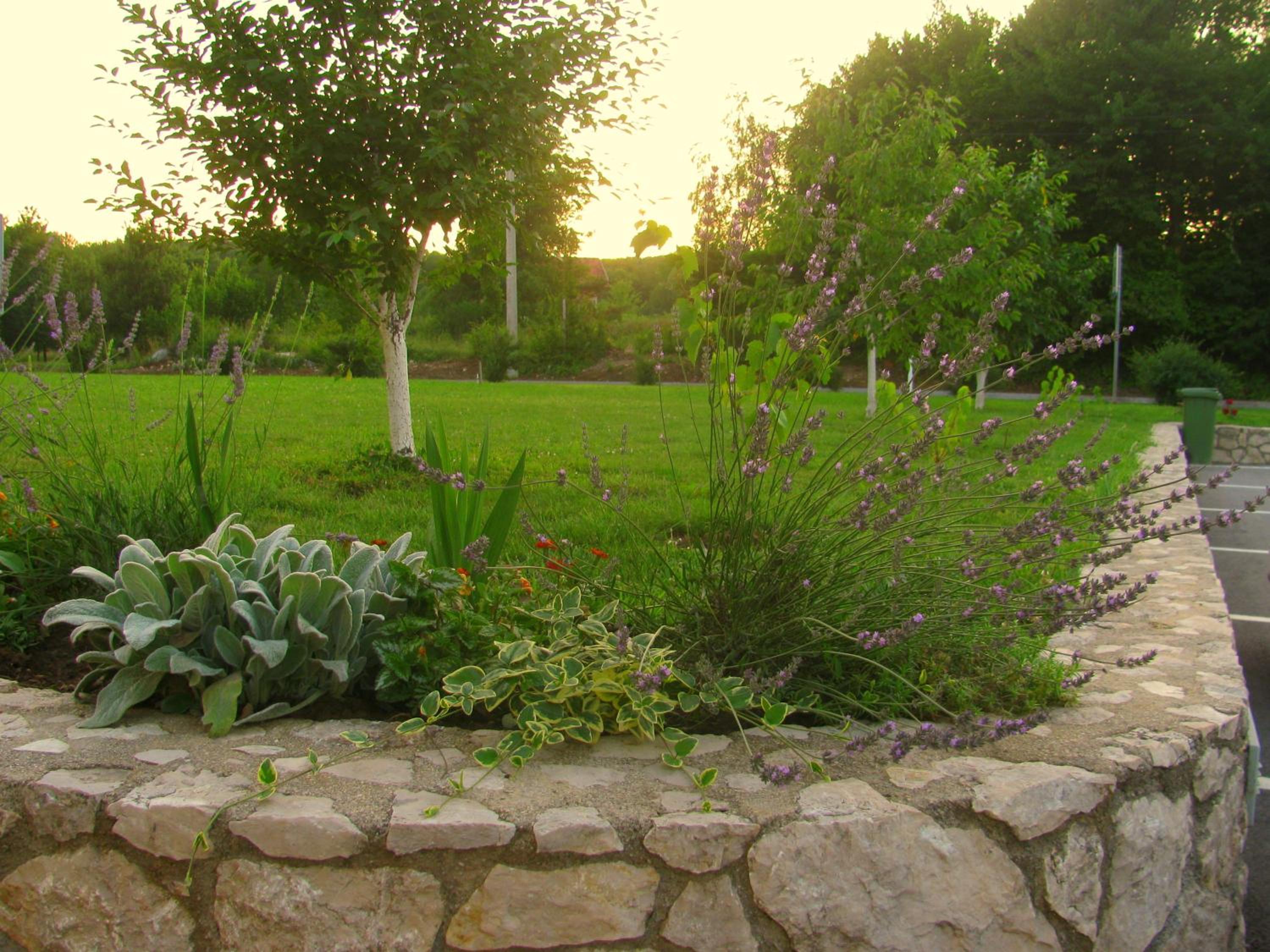 Photo 24