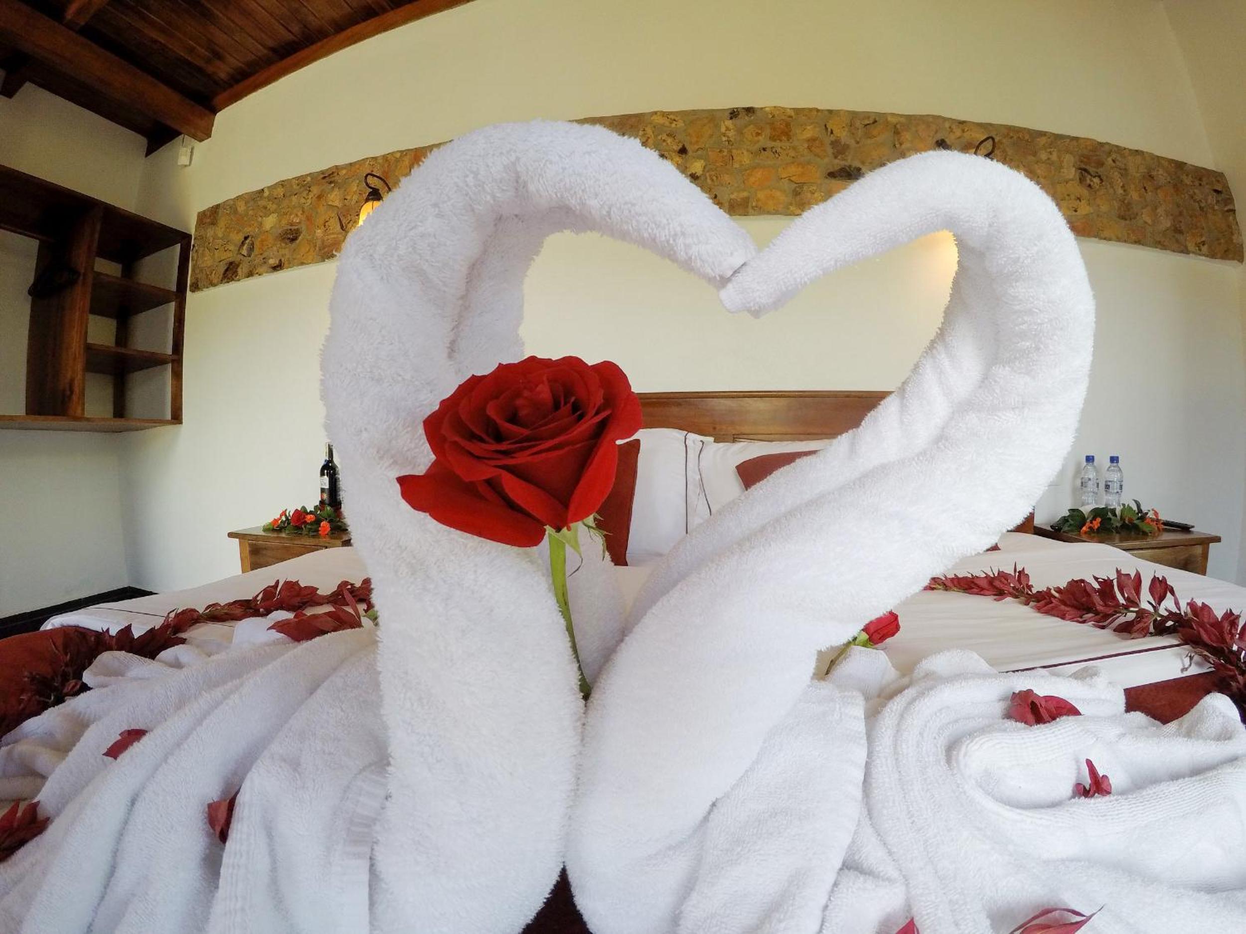 Coffee Lodge Cristal Glamping & Spa