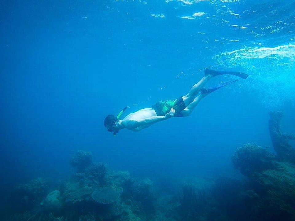 Photo 45