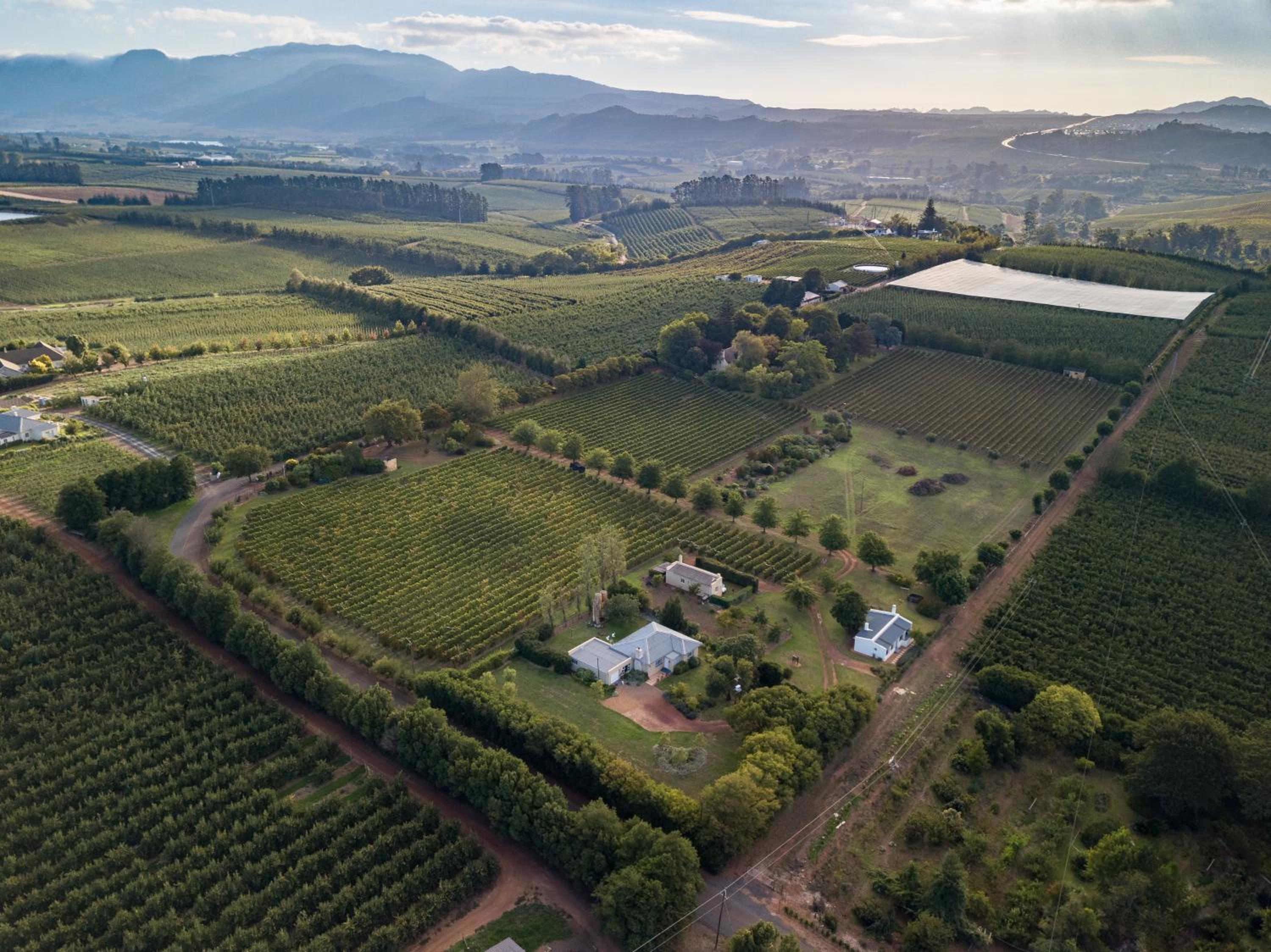 Belfield Wines and Farm Cottages