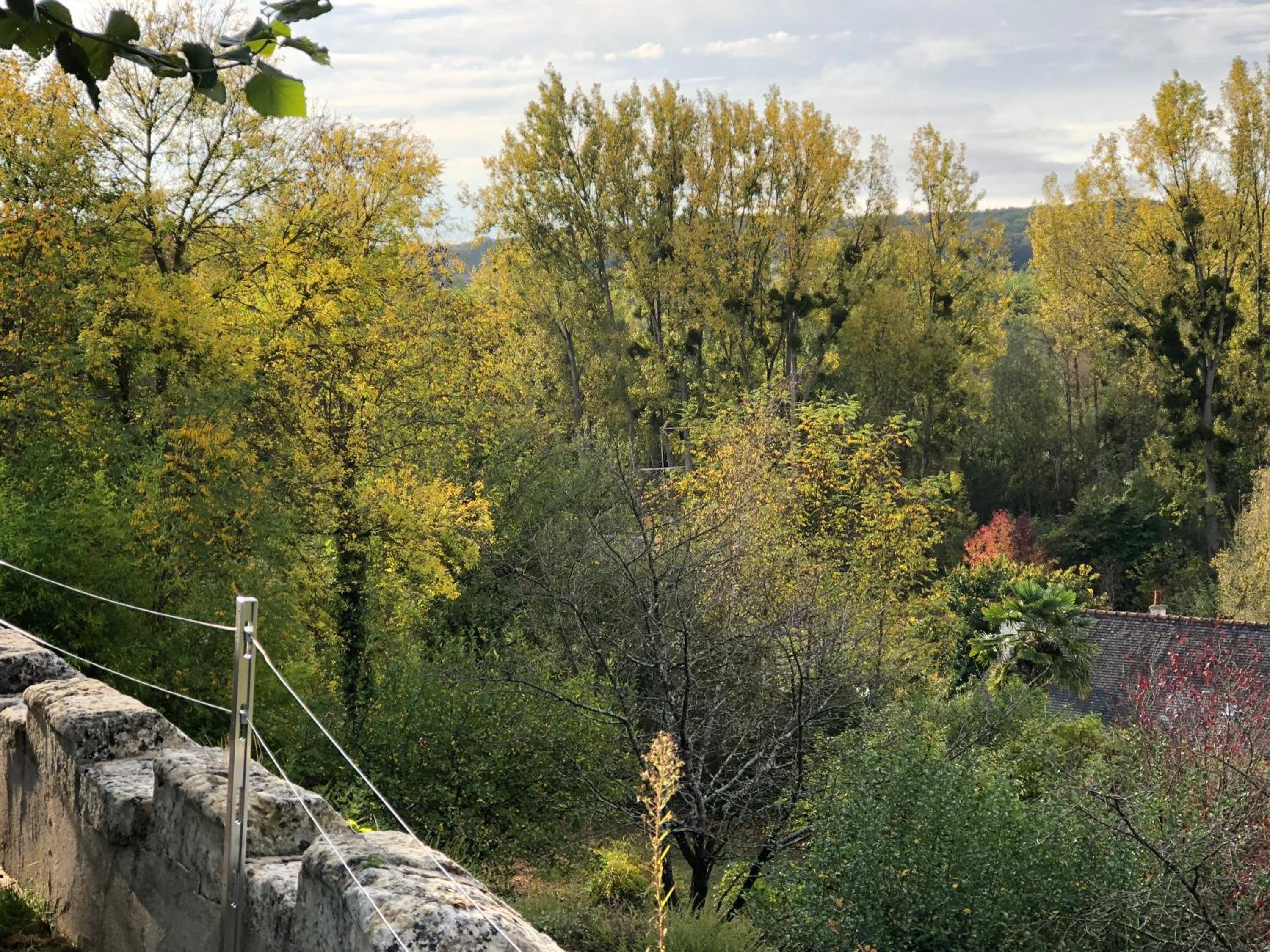 Domaine Plessis Gallu - vacation cottage rental