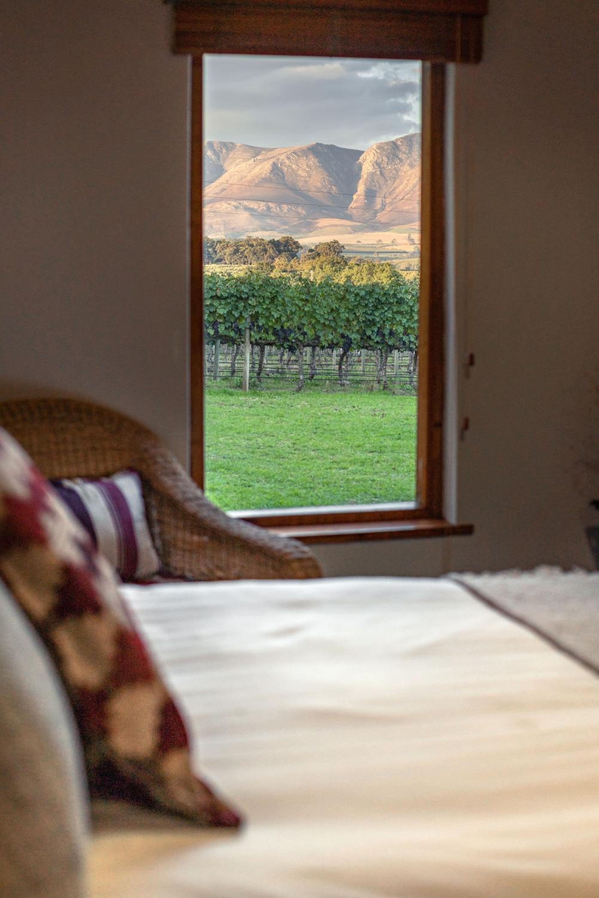 Belfield Wines and Farm Cottages
