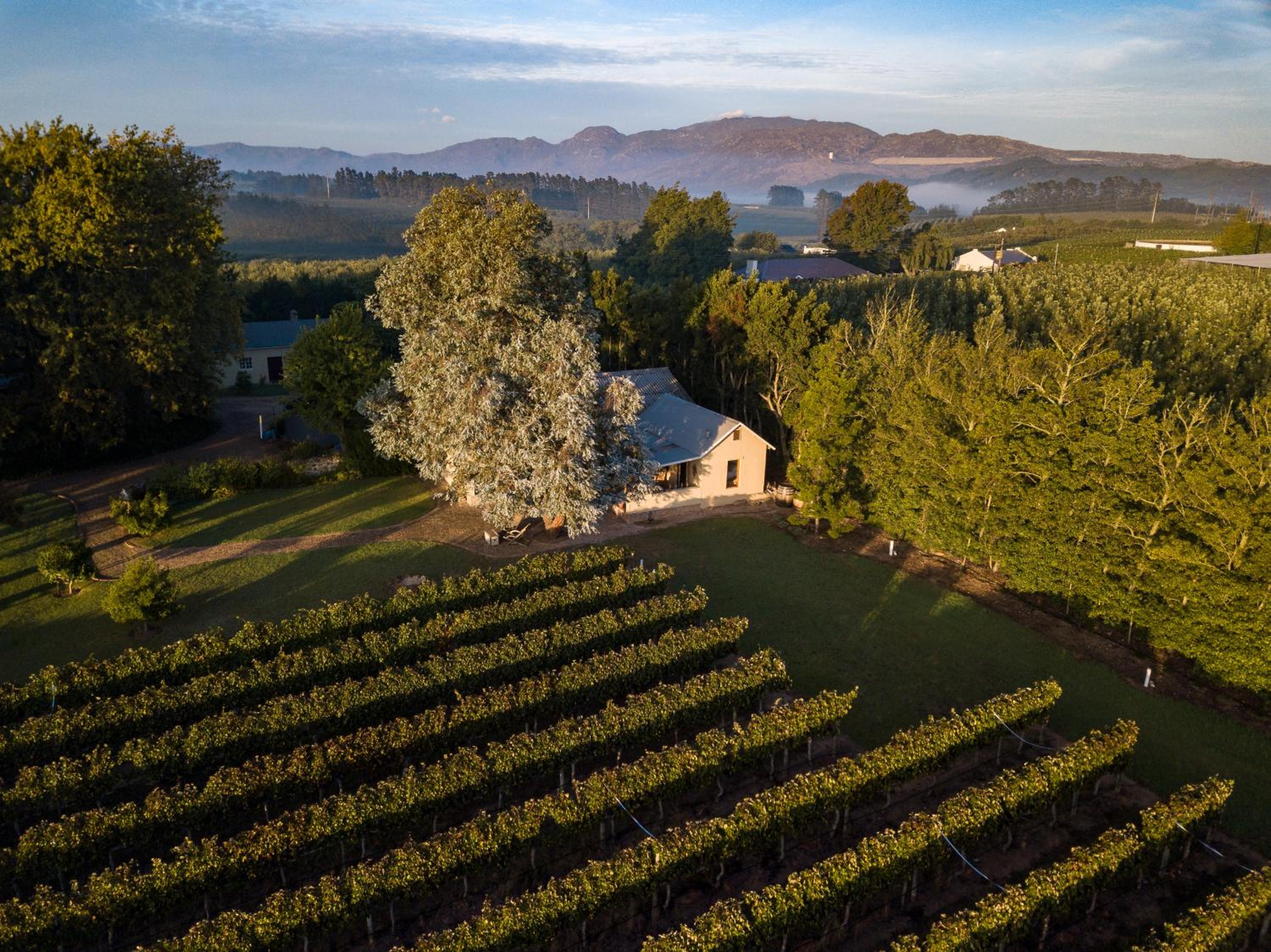 Belfield Wines and Farm Cottages