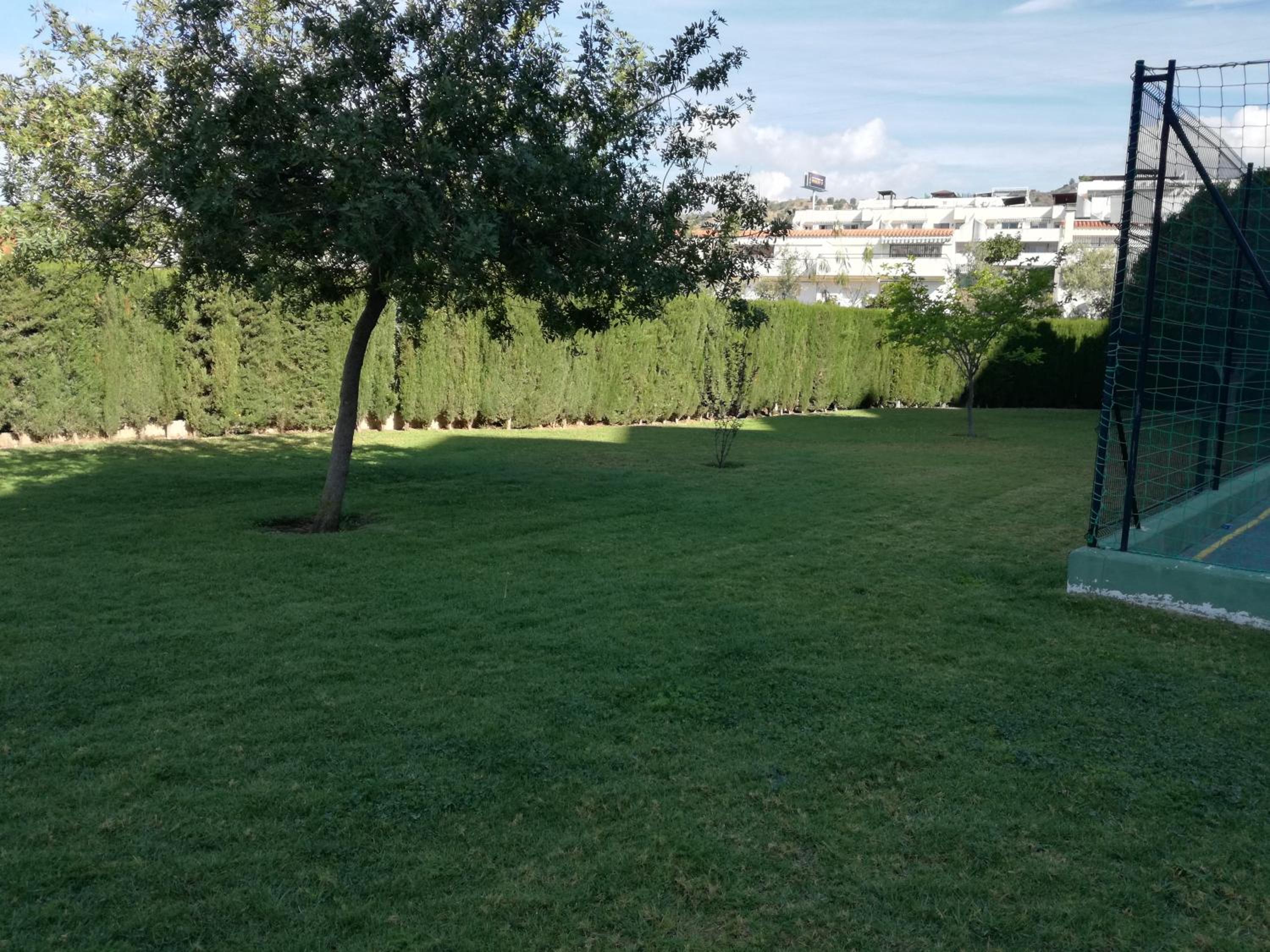 Photo 28
