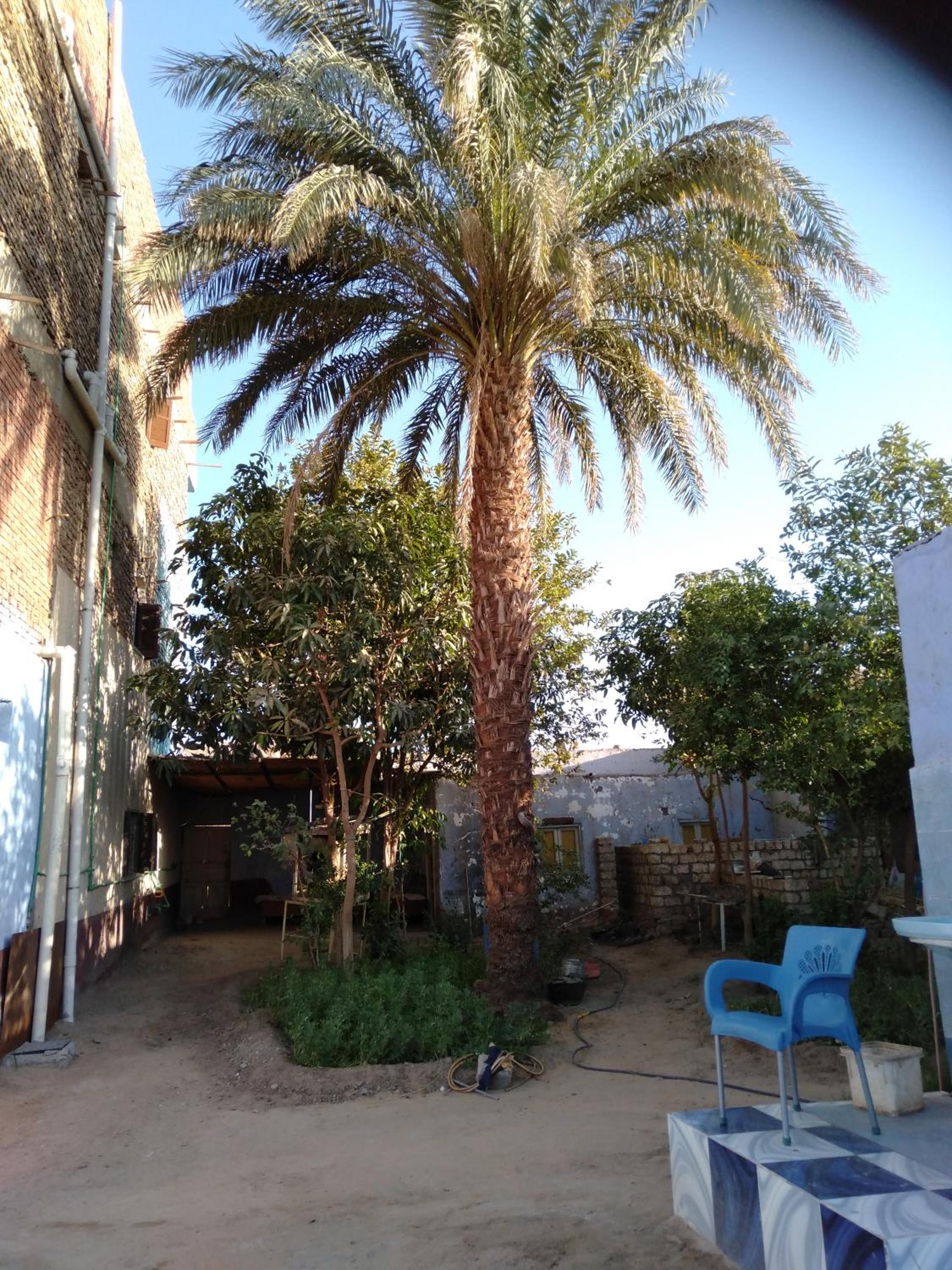 Photo 44
