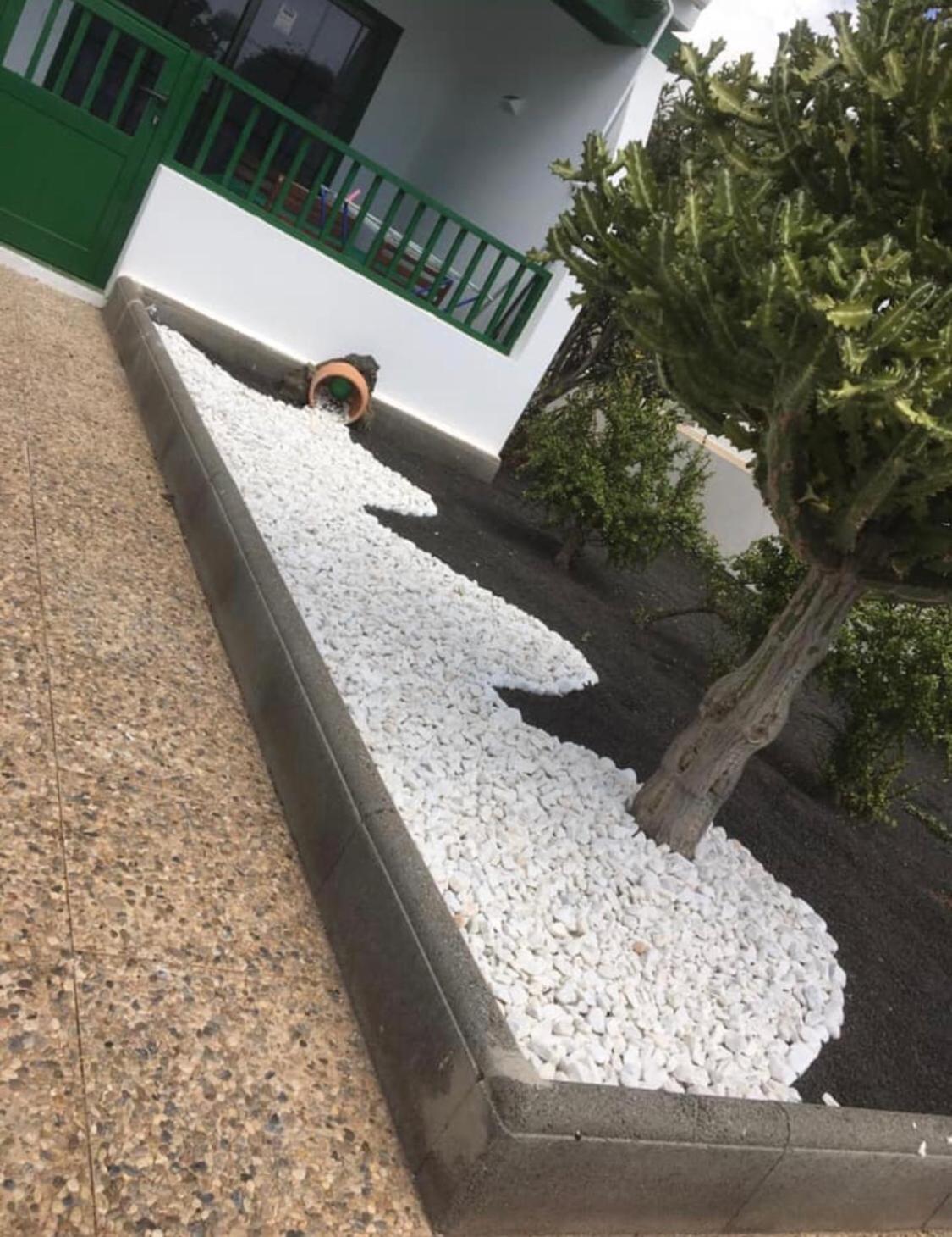 Las Mimosas