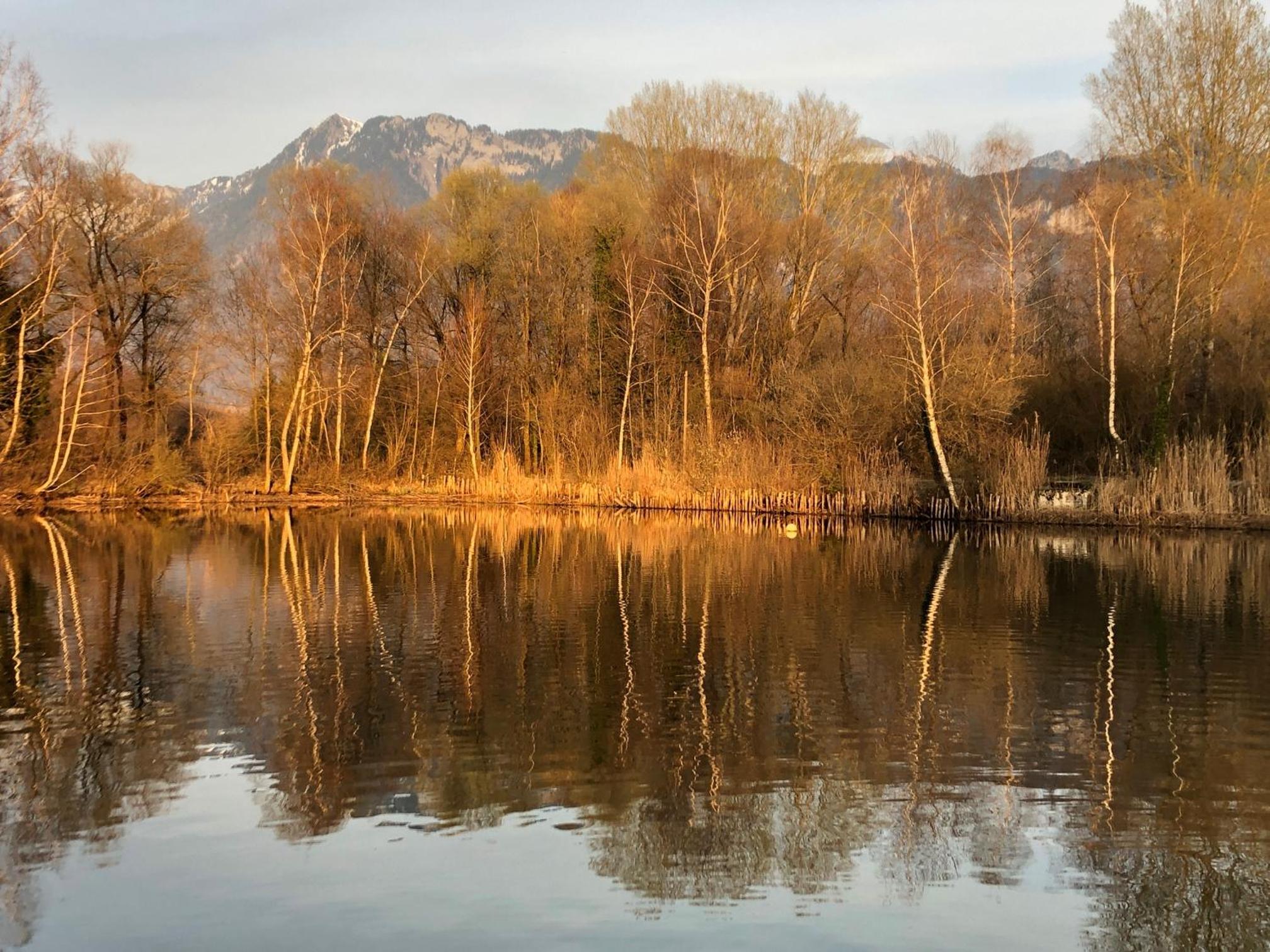 Swiss Lake Lodge