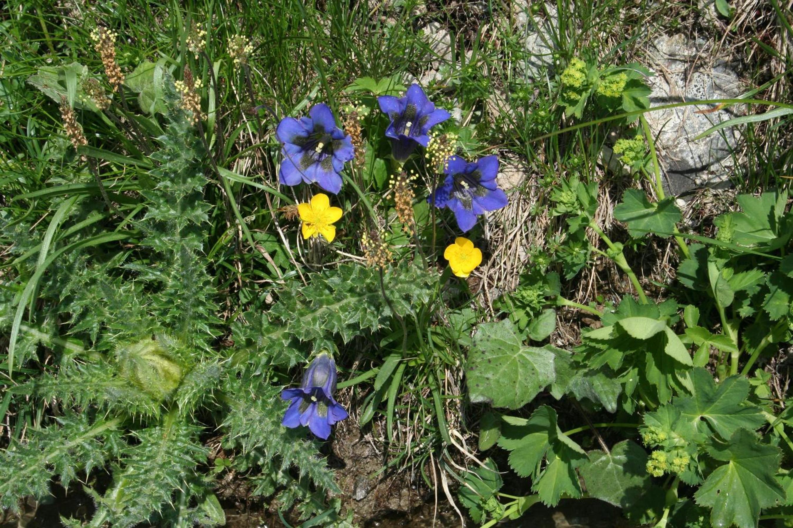BnB Claudy et Elizabeth Michellod-Dutheil