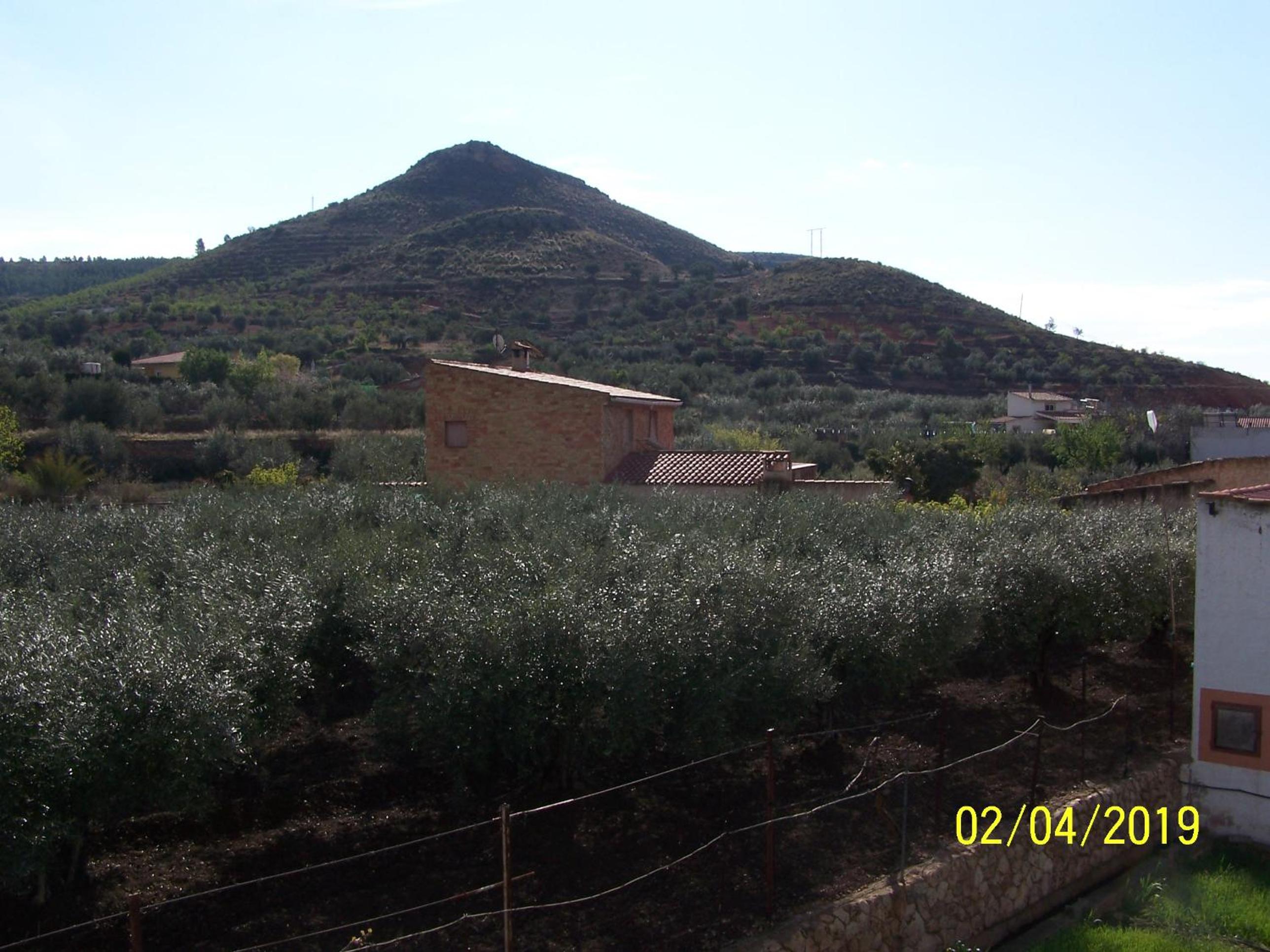 Photo 37