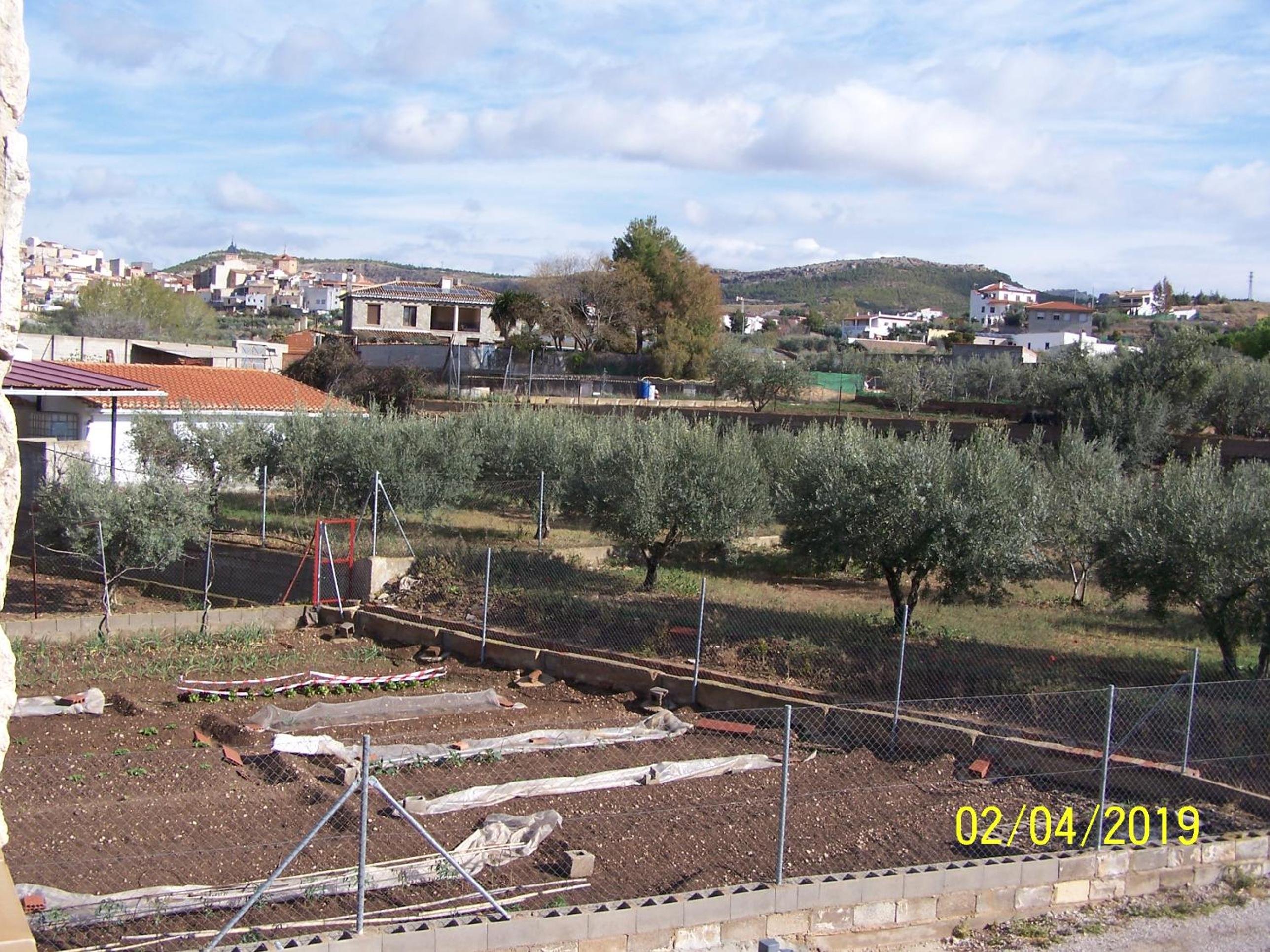 Photo 38