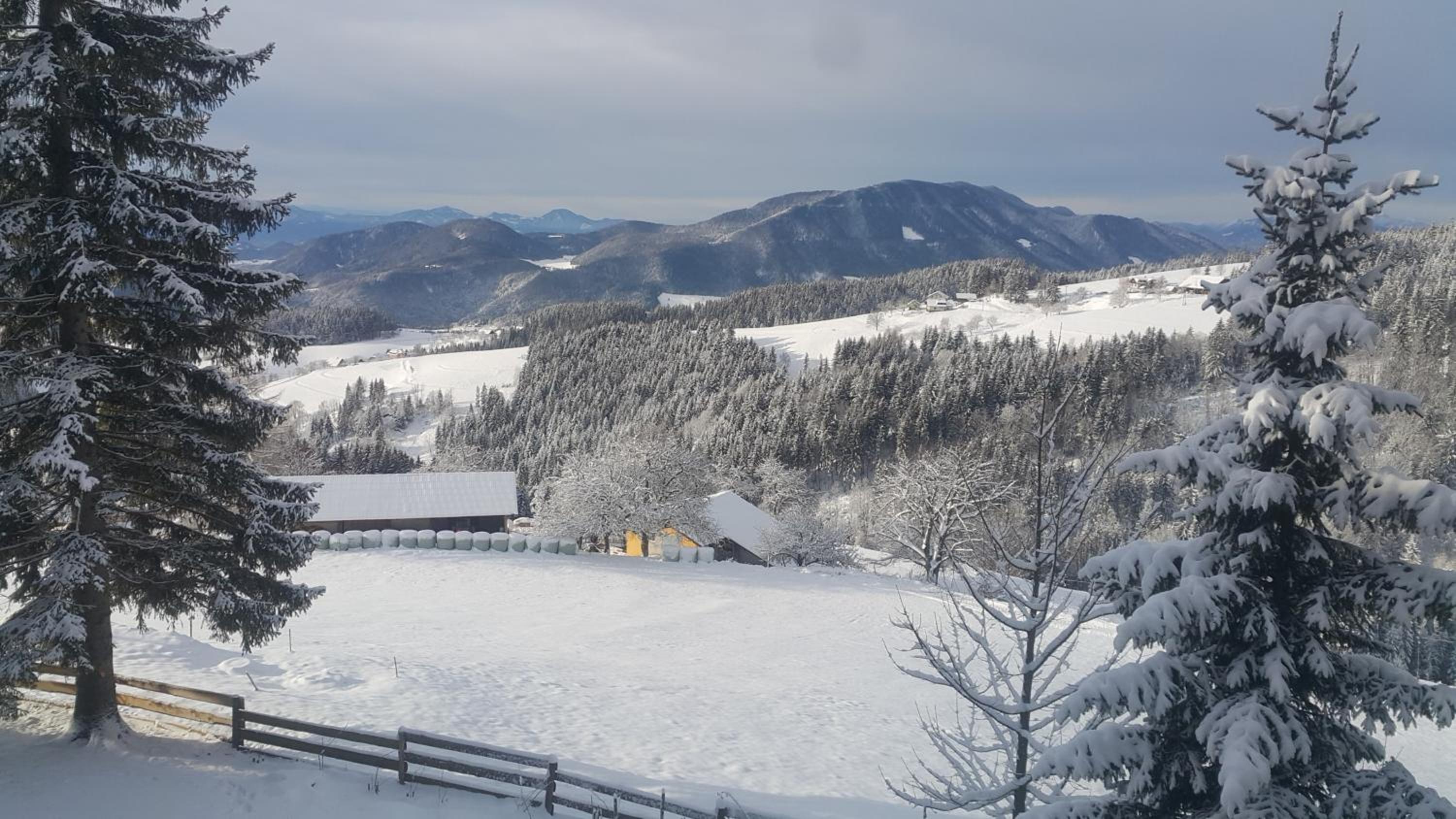 Chalet Bellevue Rogla
