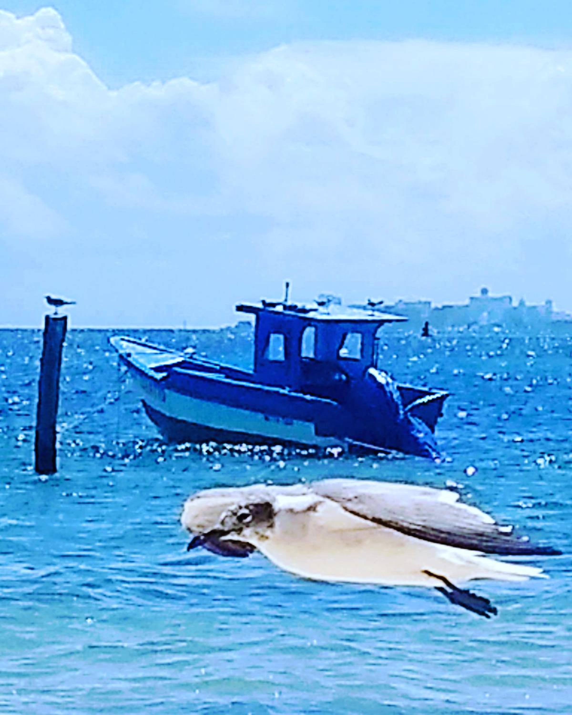 Tu Casa en el Caribe