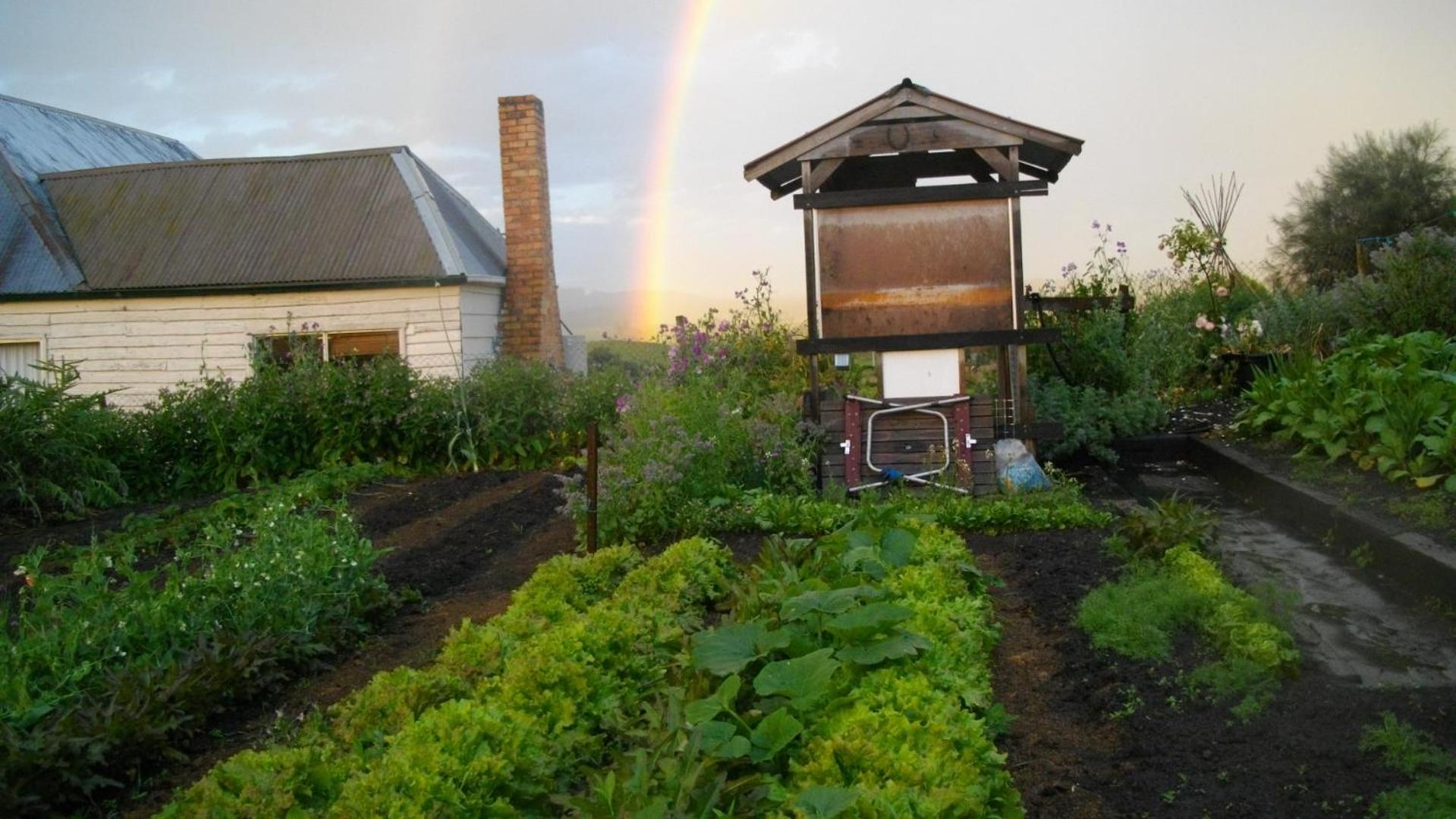 Cherry Top Farmstay - Boutique Eco Village