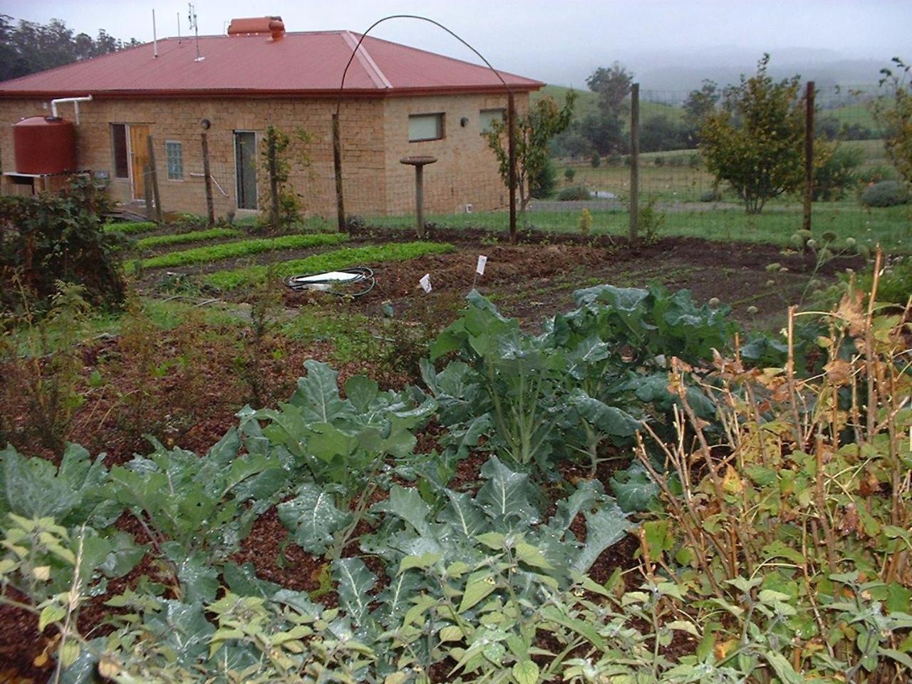 Cherry Top Farmstay - Boutique Eco Village